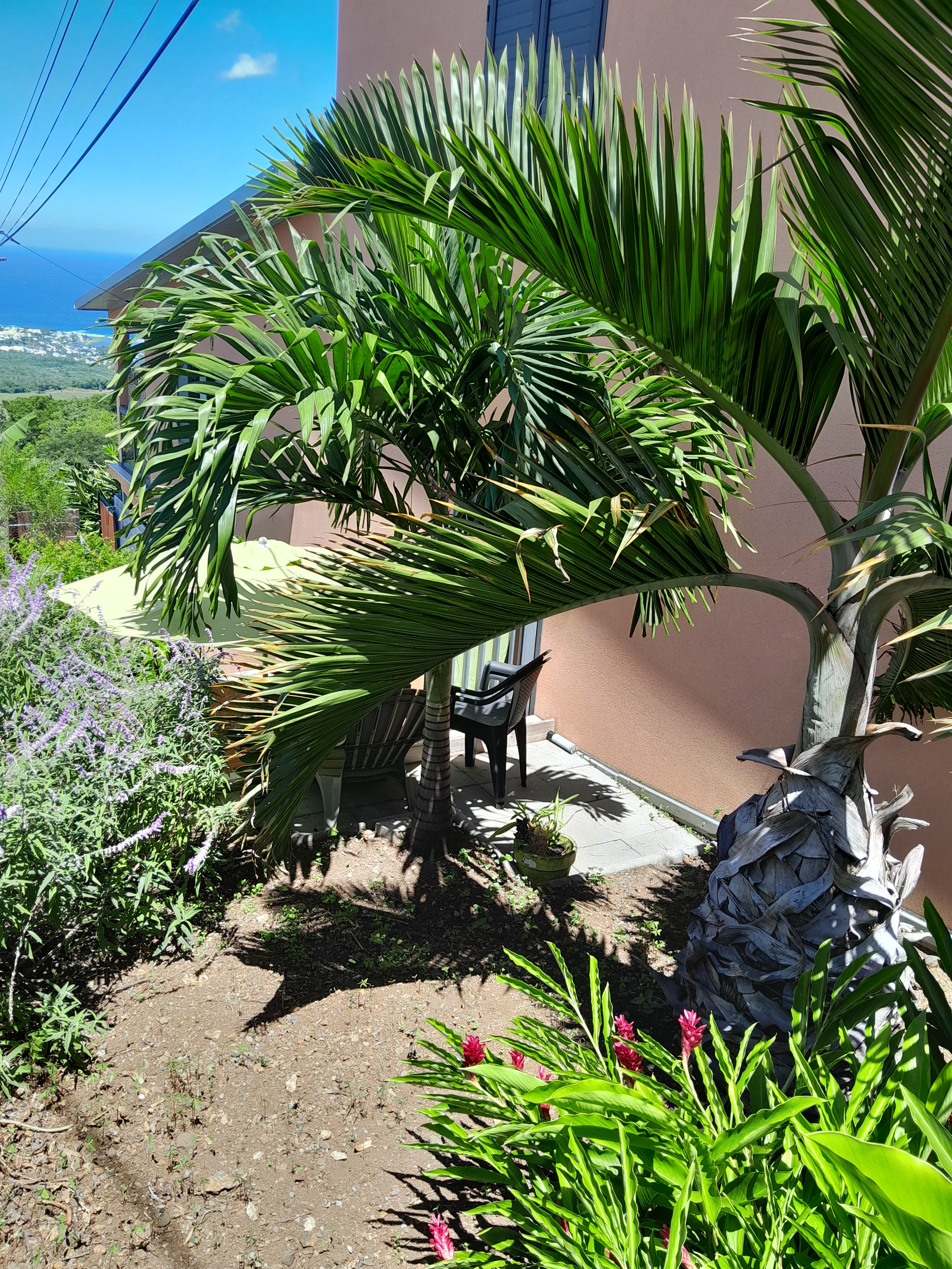 Studio F1  getaway south .