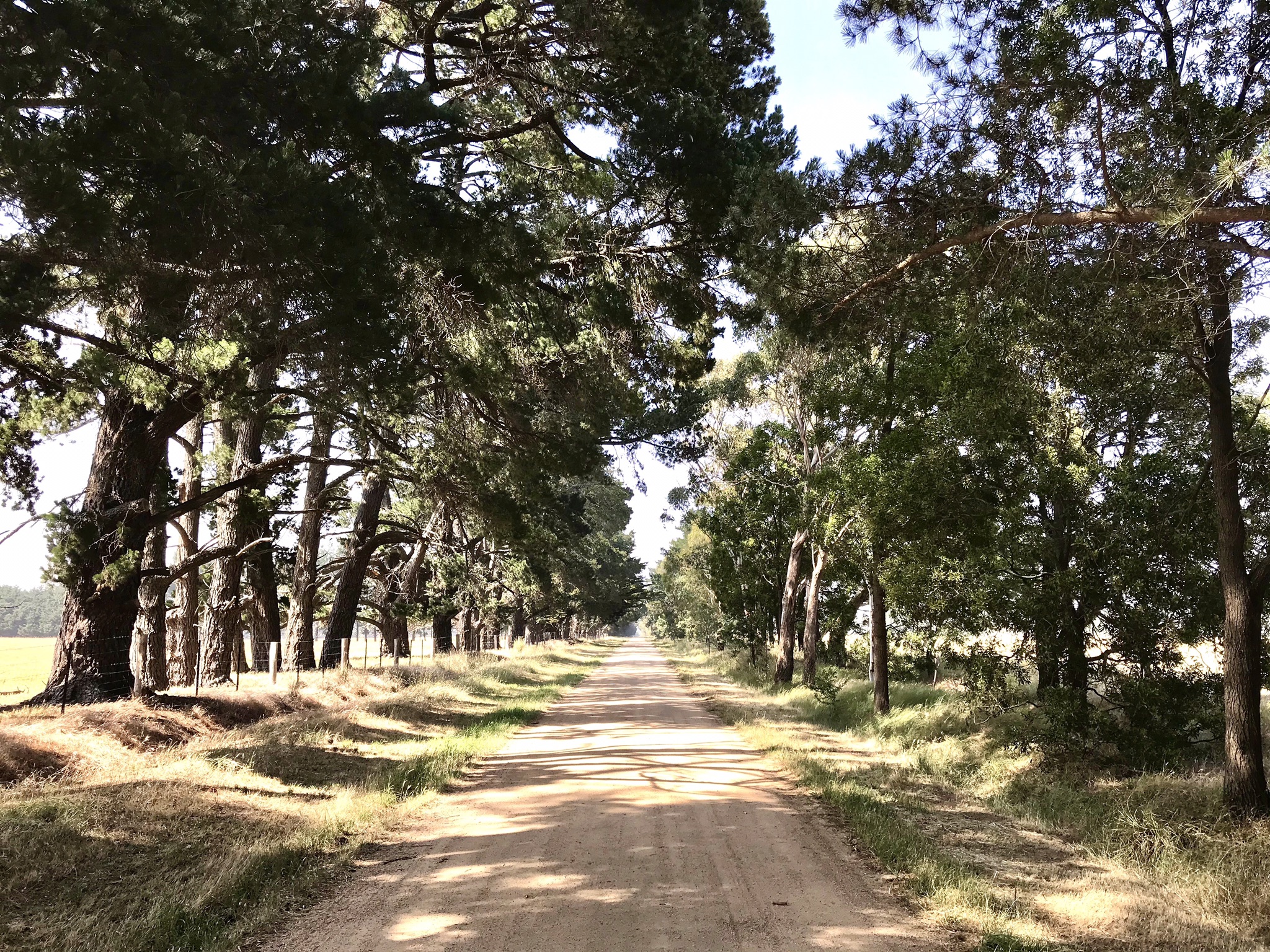 Tylden Tranquility Houses for Rent in Tylden, Victoria, Australia
