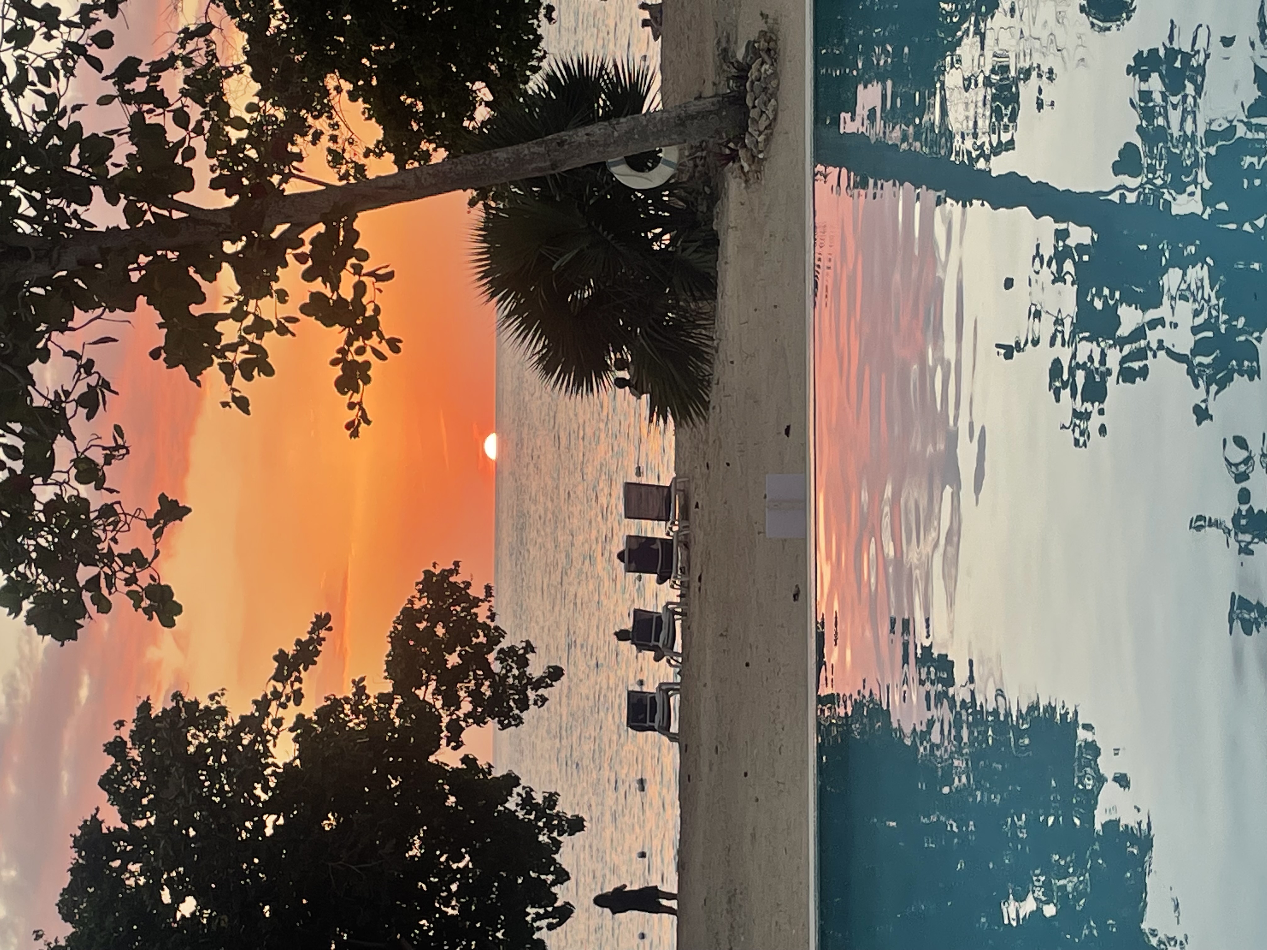 Slice of Paradise