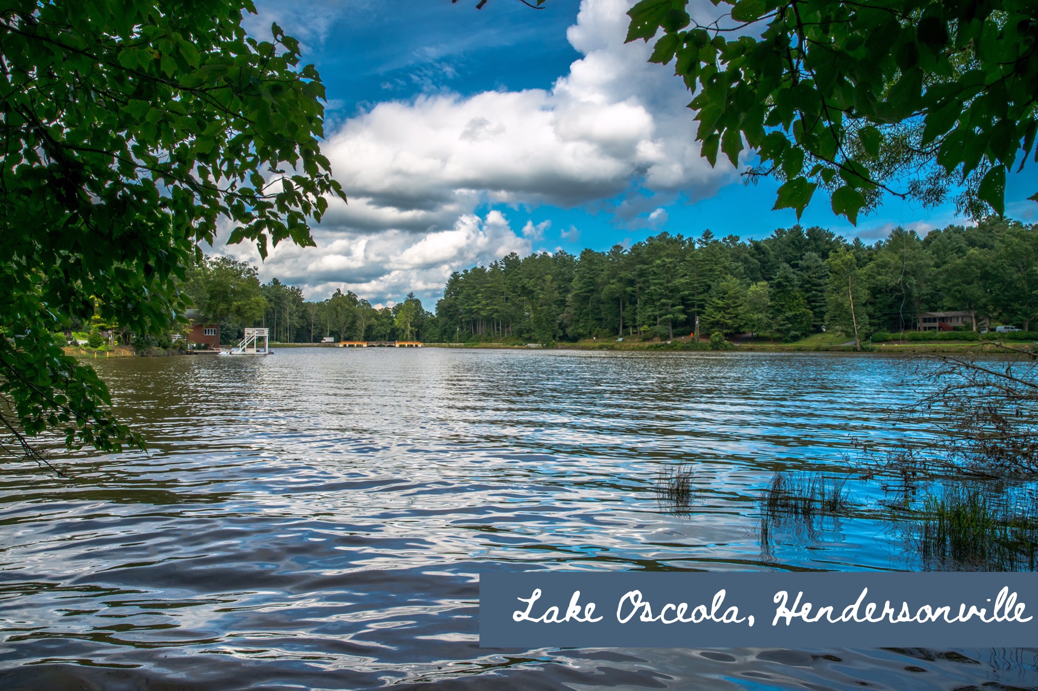 Peaceful Cottage overlooking Lake Osceola Cottages for Rent in Hendersonville, North Carolina