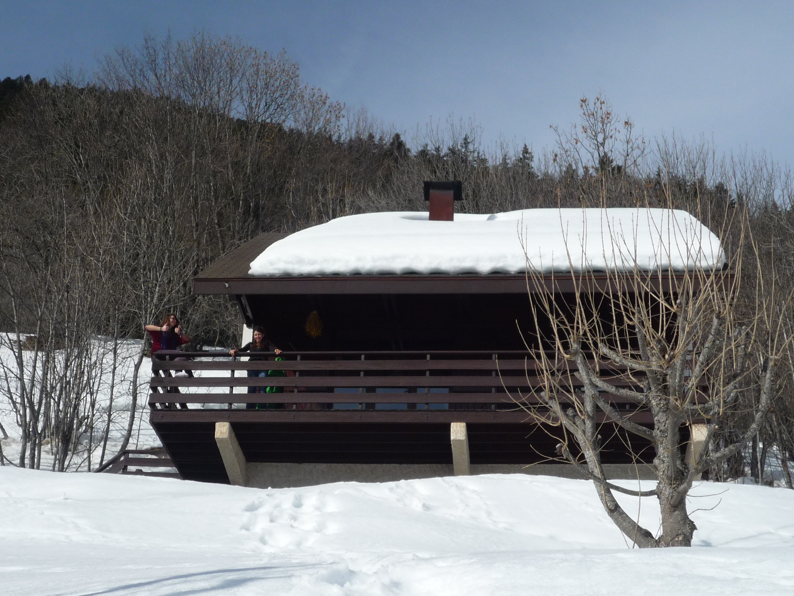 CHALET AURIS - L'APE D'HUEZ
