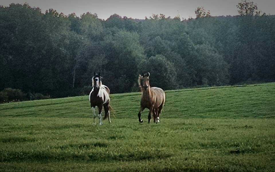 Selah Farms B&B by Fall Creek Falls State Park Bed and breakfasts for