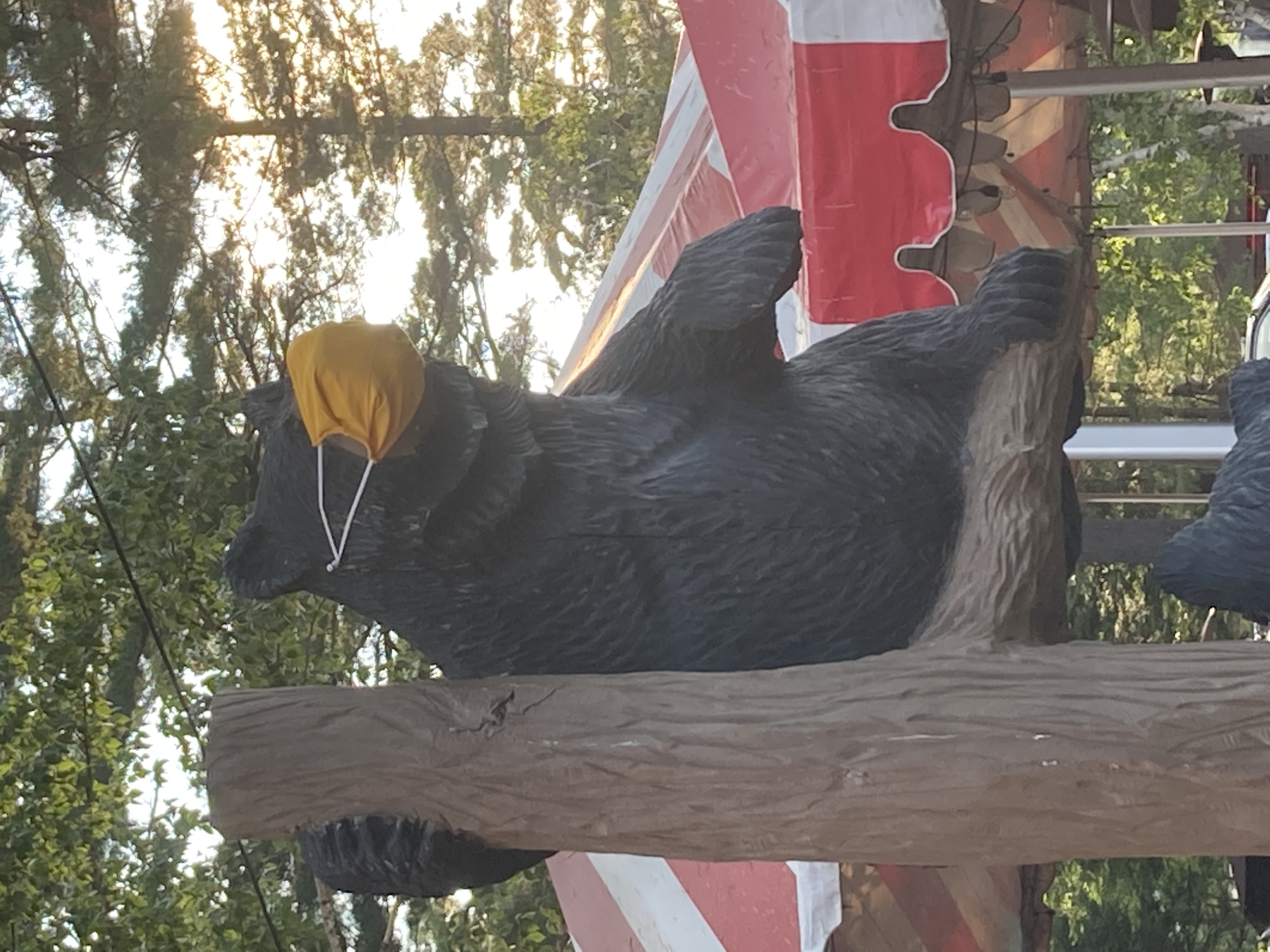 Tail O' Pup Rustic Cabin 10 5 min Lake Placid Tiny houses for