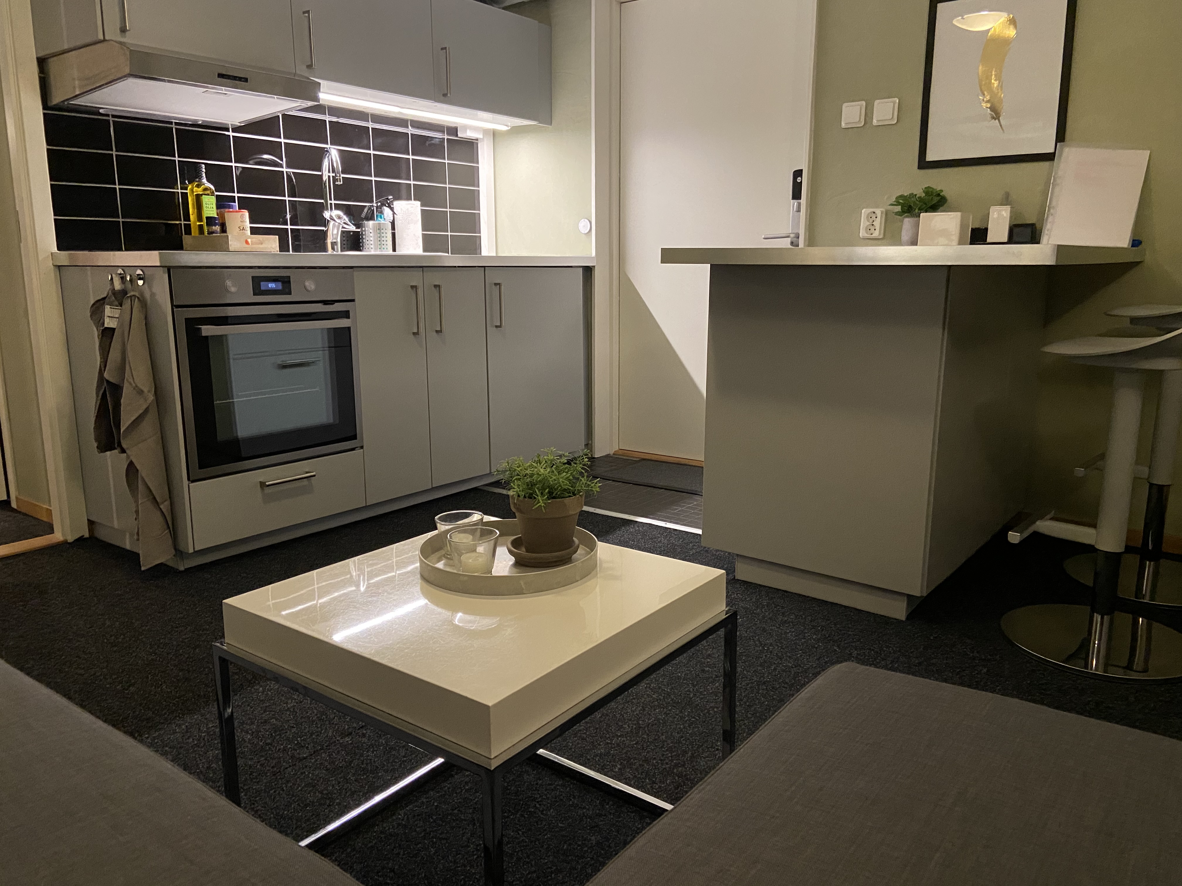 Cozy basement apartment 1-3 people in Halmstad!