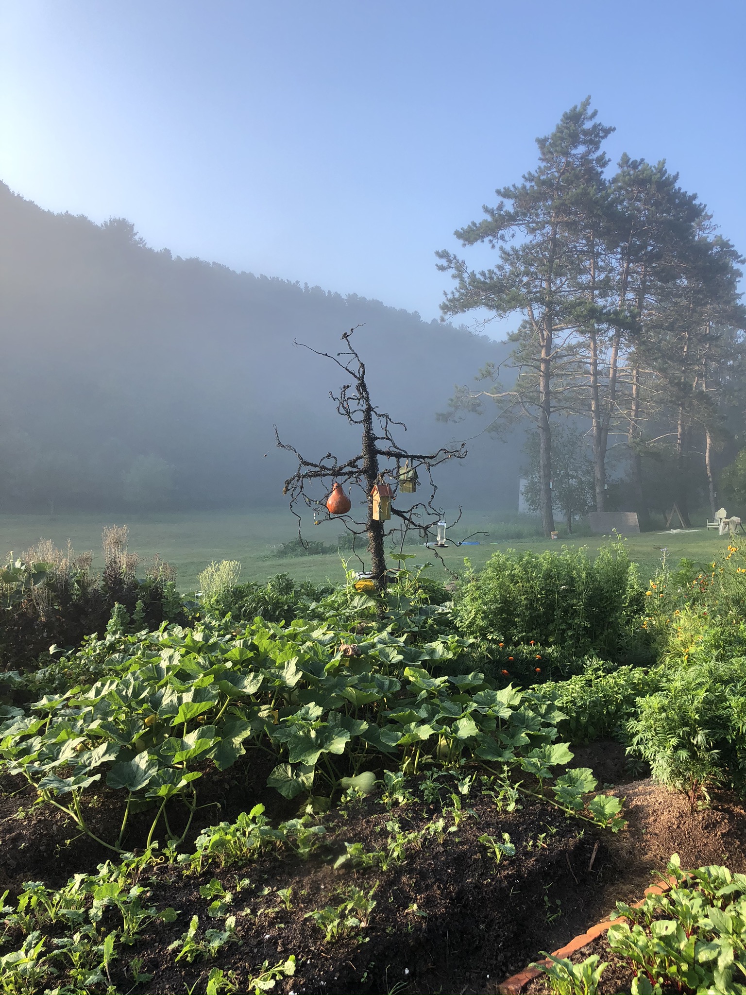 Glamping & Stargazing at Olga Farm Apartments for Rent in Coudersport