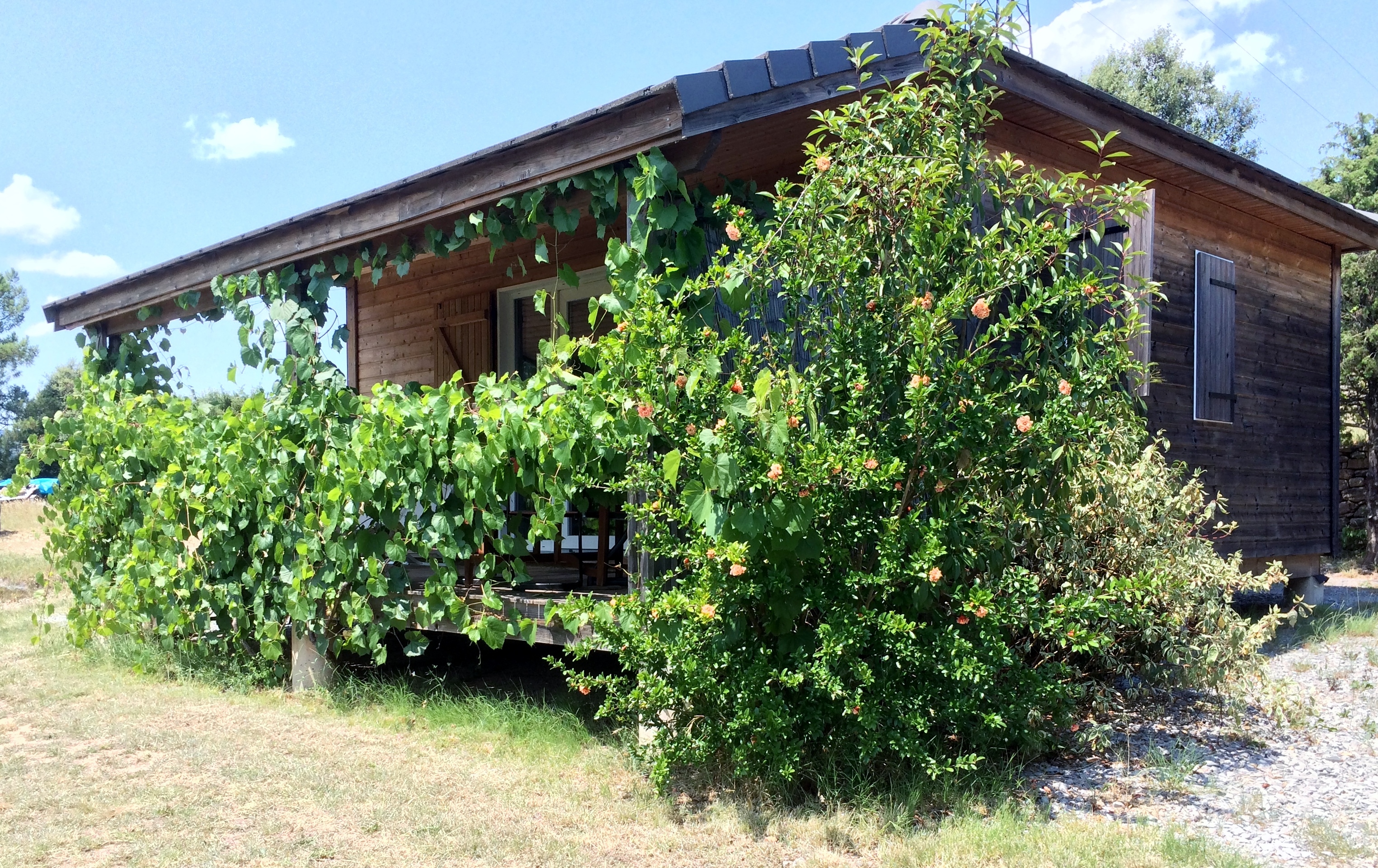 Domaine de la Jeanne : Wooden chalet 4-5 people