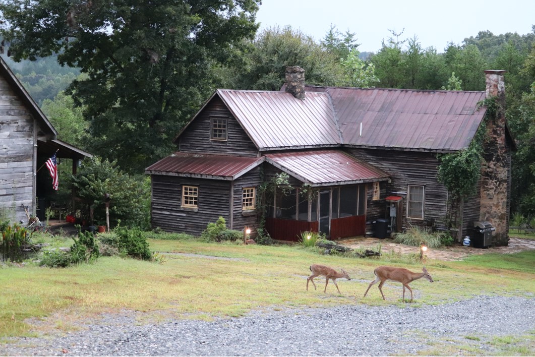 One of a kind historic house near Tryon Equestrian Houses for Rent in