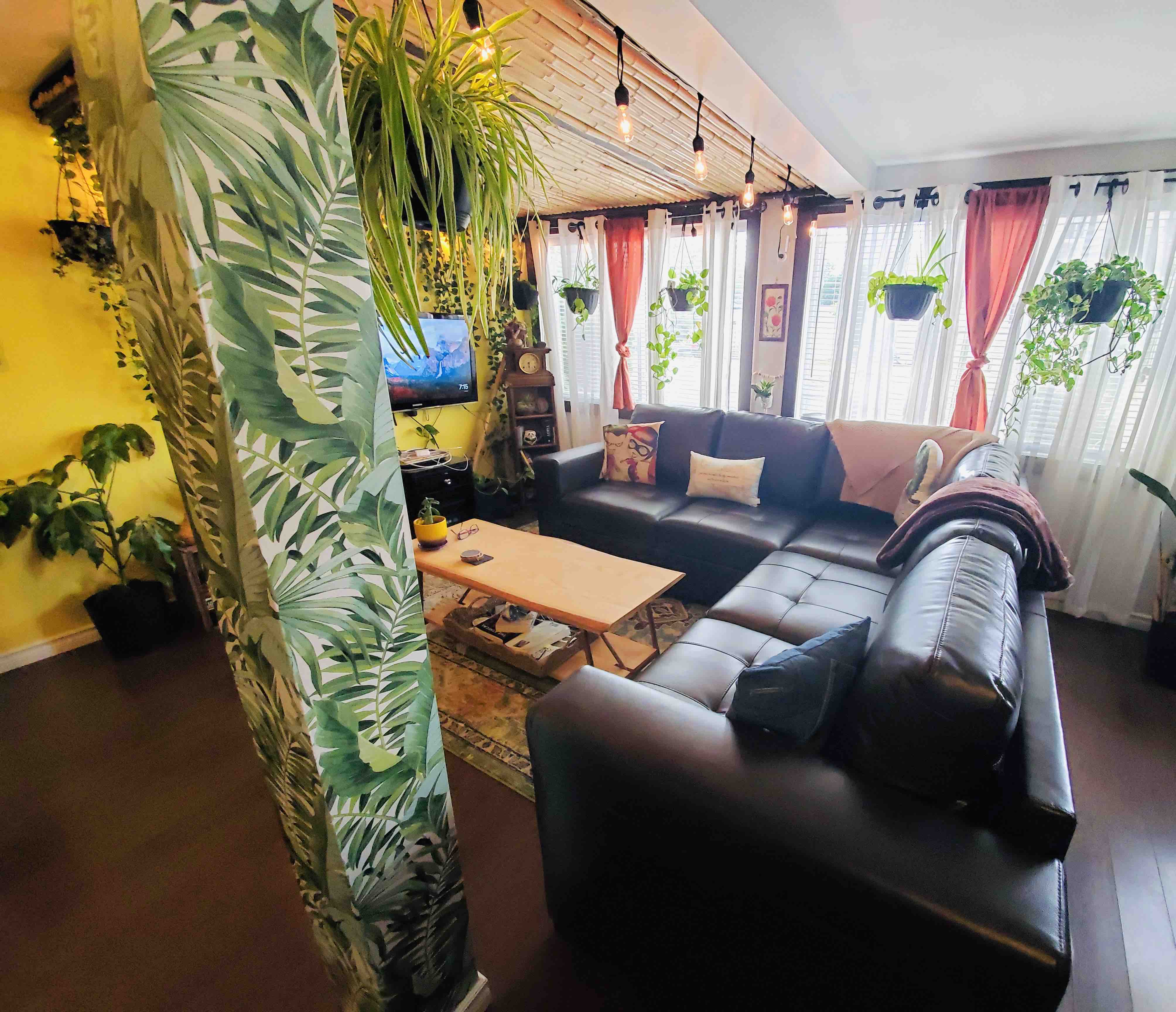 Jungle Home Oasis / No Cleaning Fees!