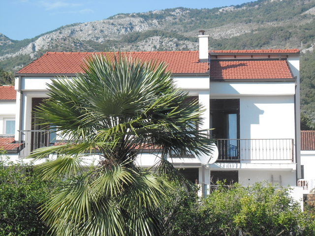 Family suite with garden sea nearby+parking