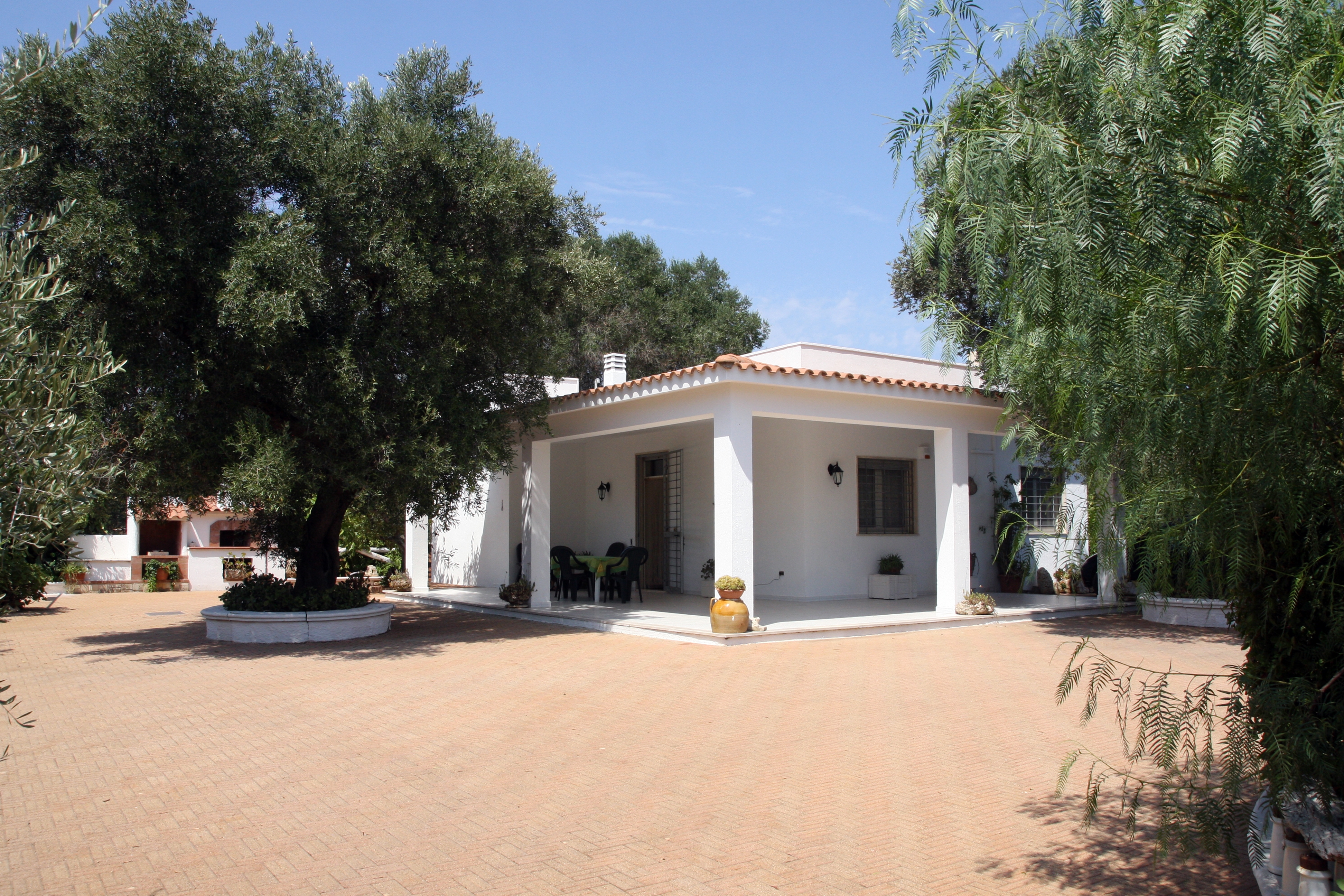 Villa among the olive trees just a few minutes from the sea