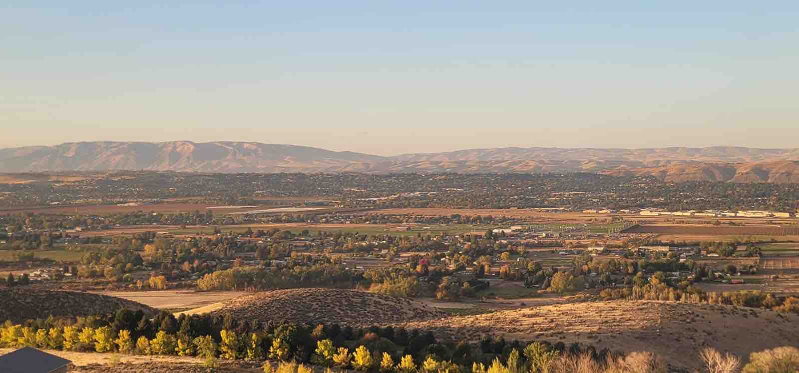 The View House