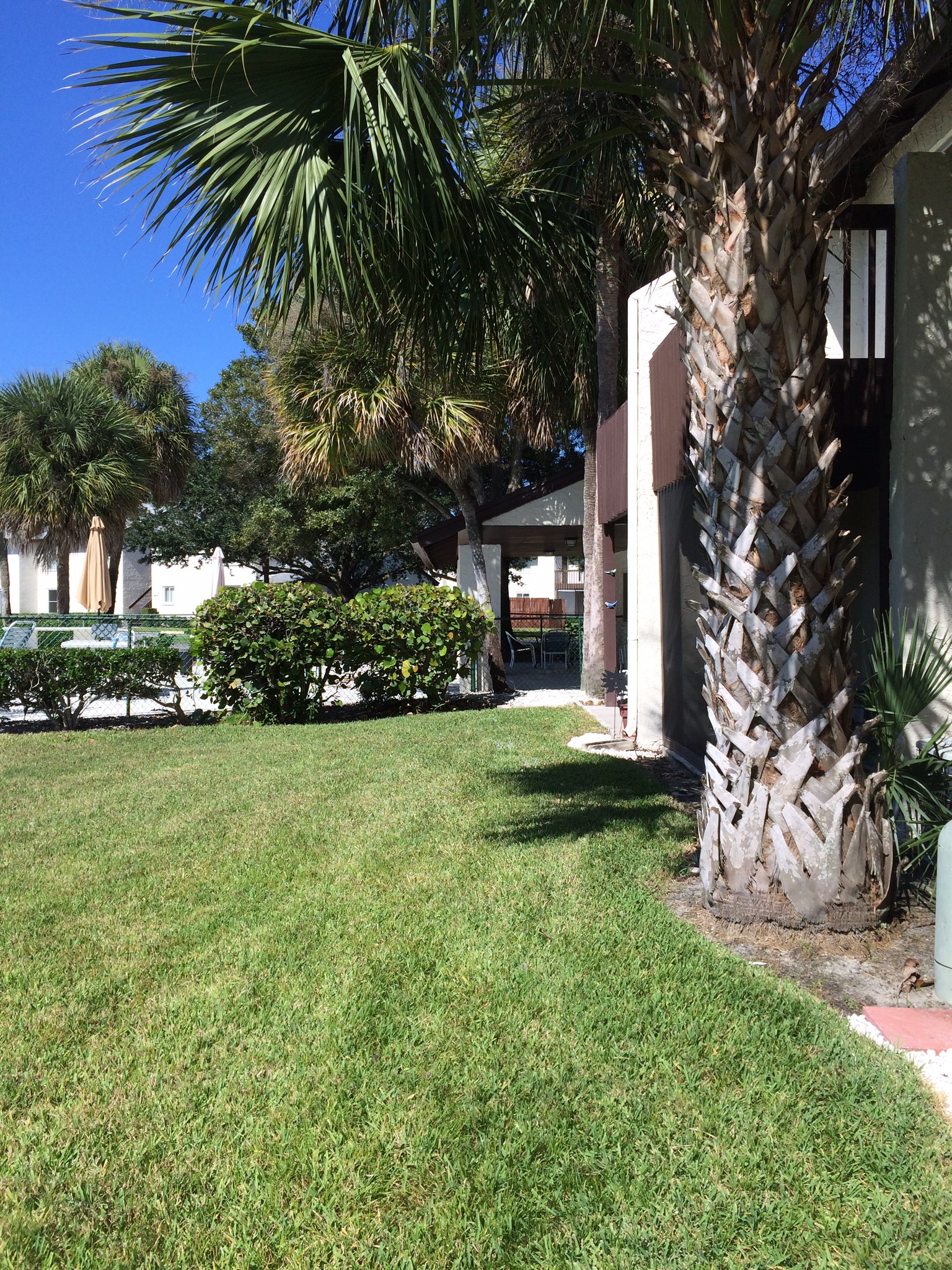 Florida Gulf coast woodside village condo 1 Condominiums for Rent in
