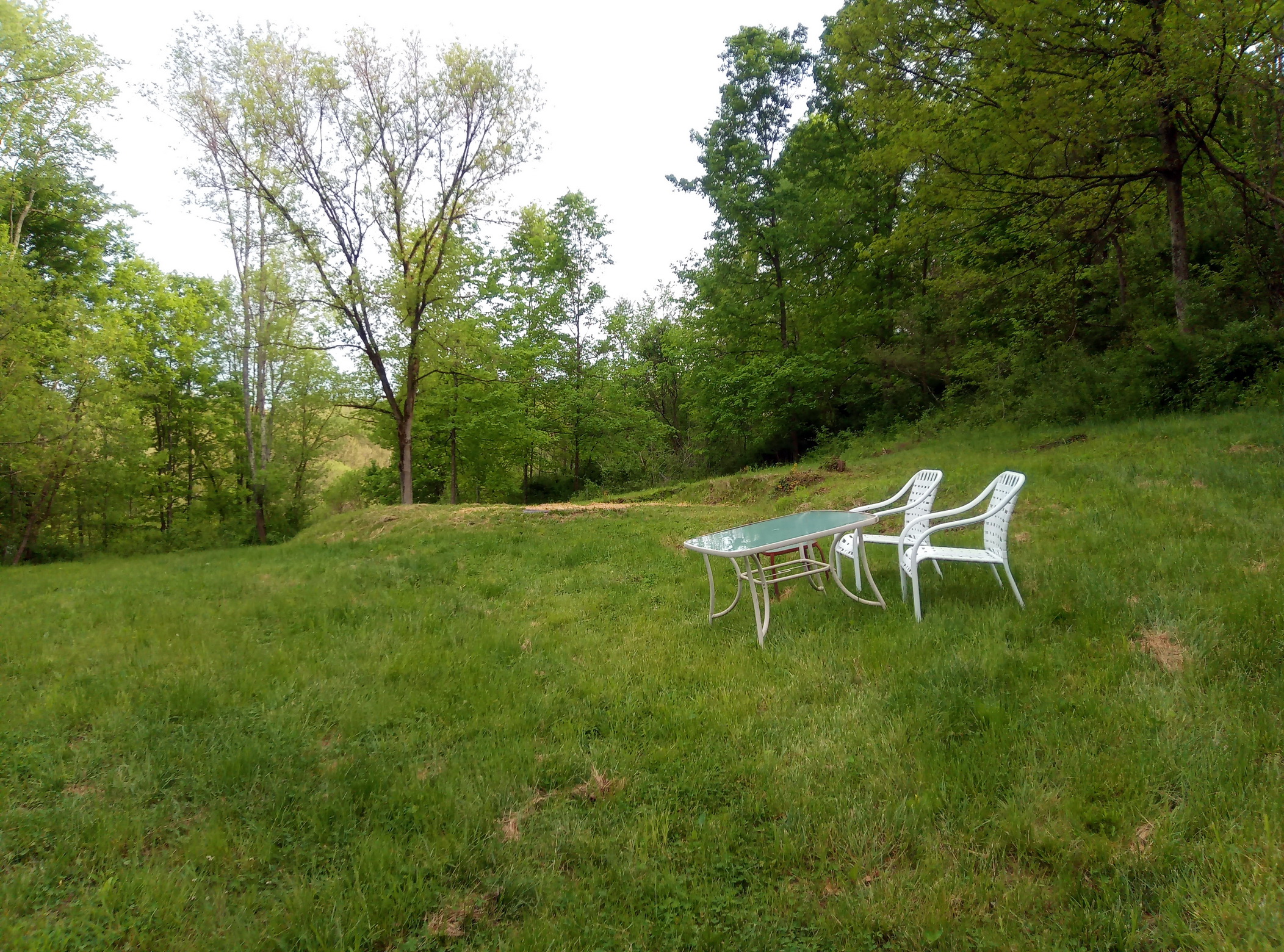 Beautiful Private Car Camping Site - Red Bud