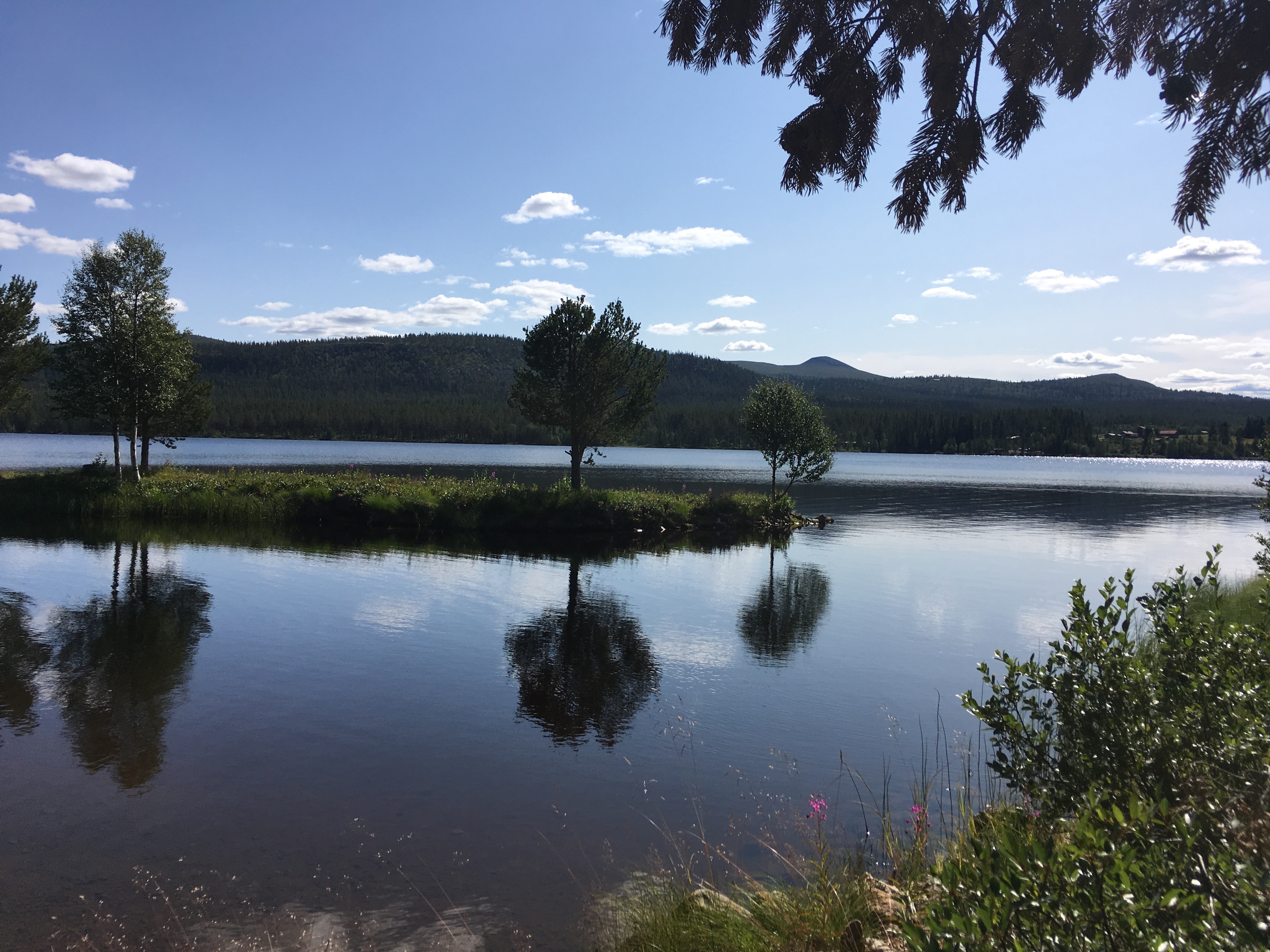 Tält vid vattnet och fjäll. Tillgång till lägenhet Tält Tält vid vattnet och fjäll. Tillgång till lägenhet Tält