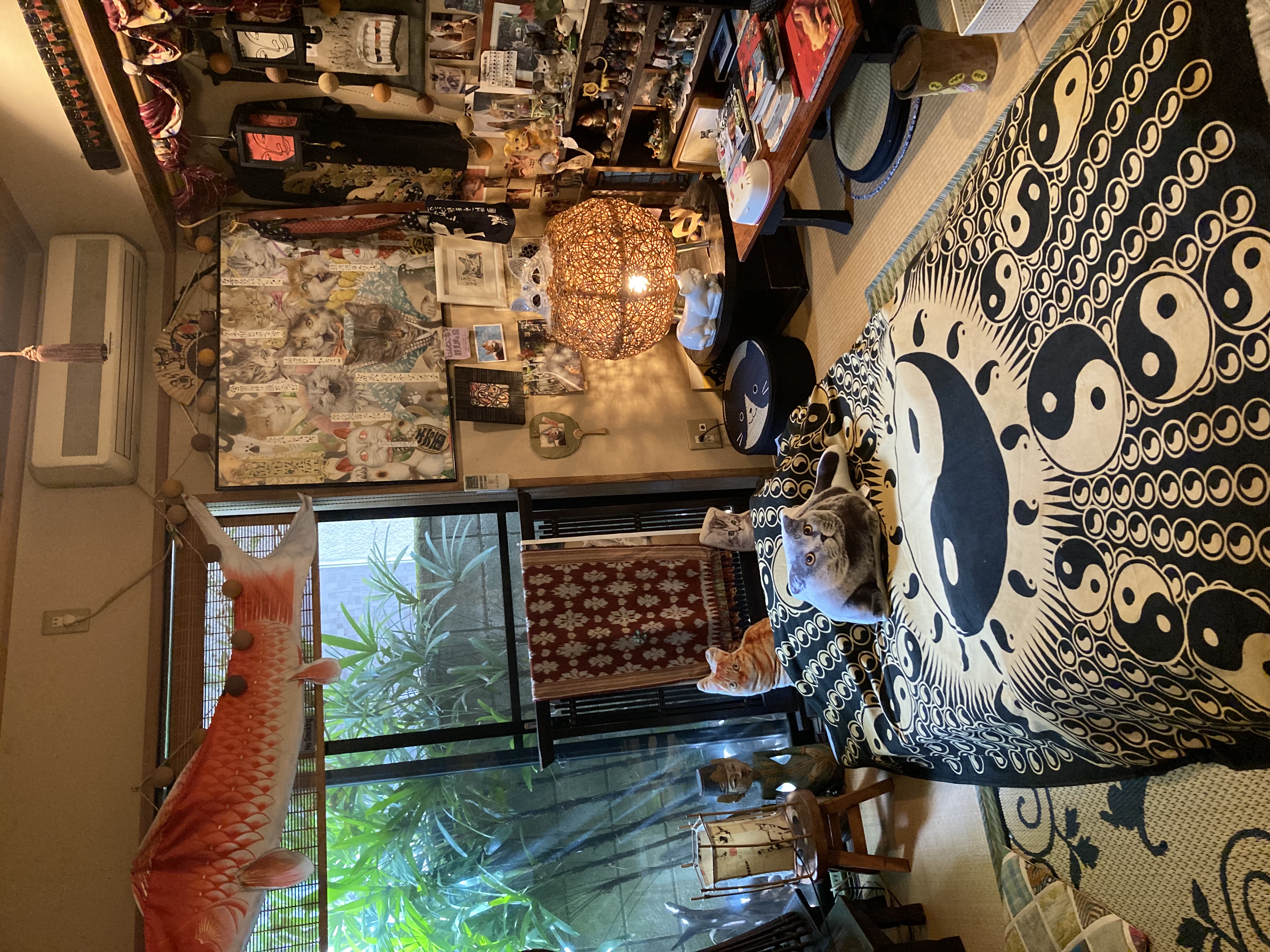 c2233134-f7ab-4aba-8a40-