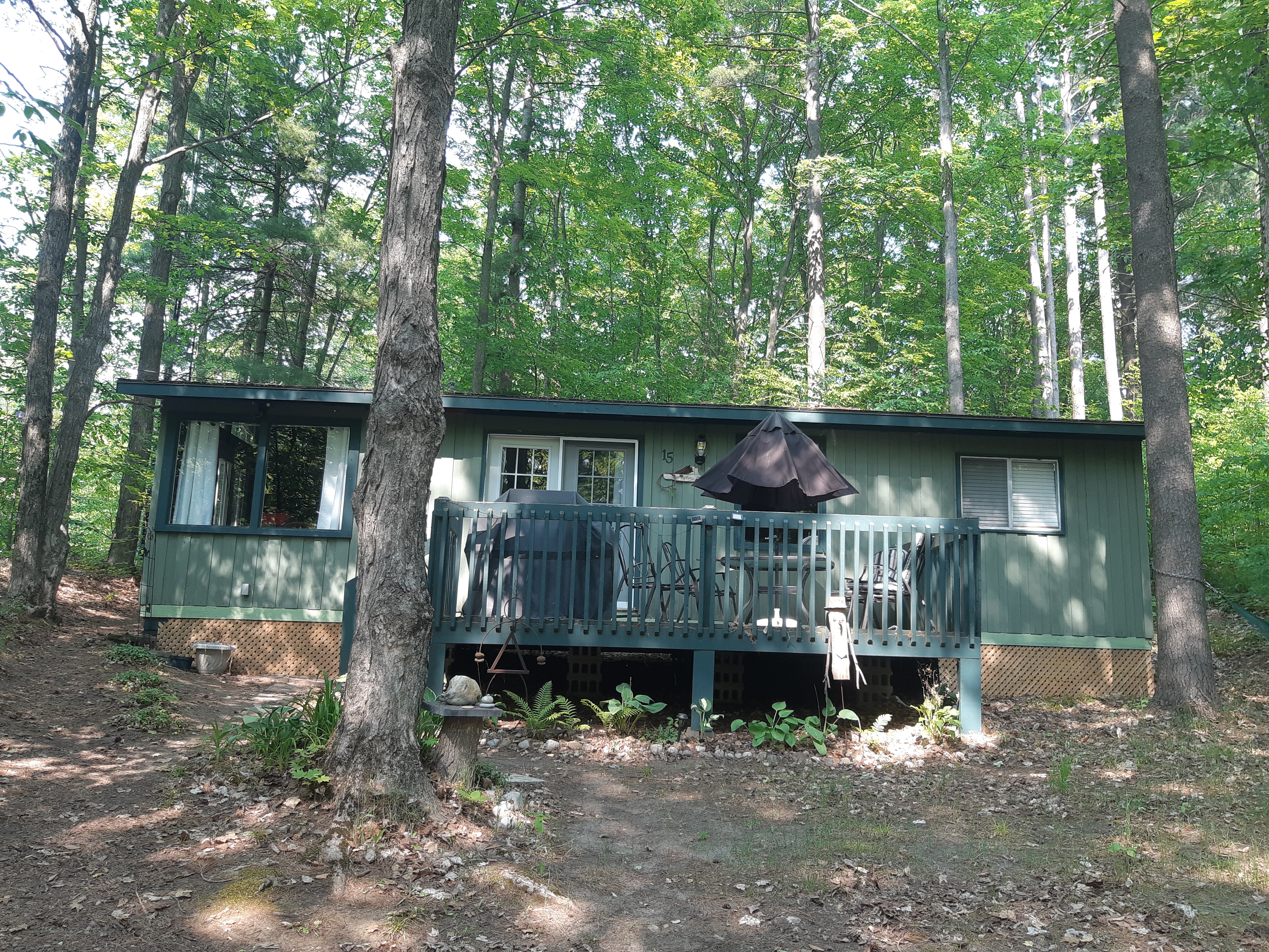 Treetop Cabin: Peaceful area near beach & hiking!