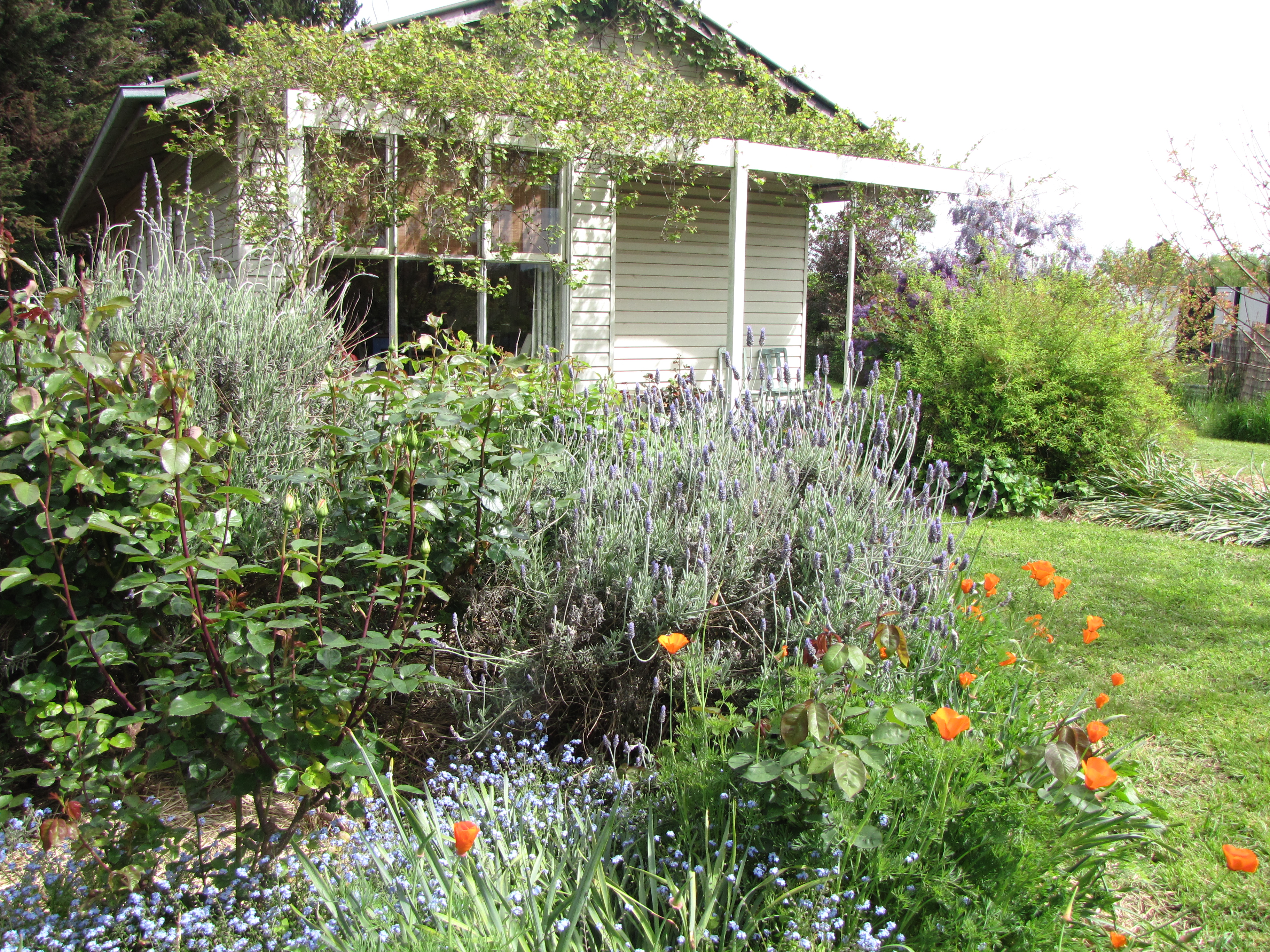 Nanna's House in Surf Coast, Barwon South West Vic