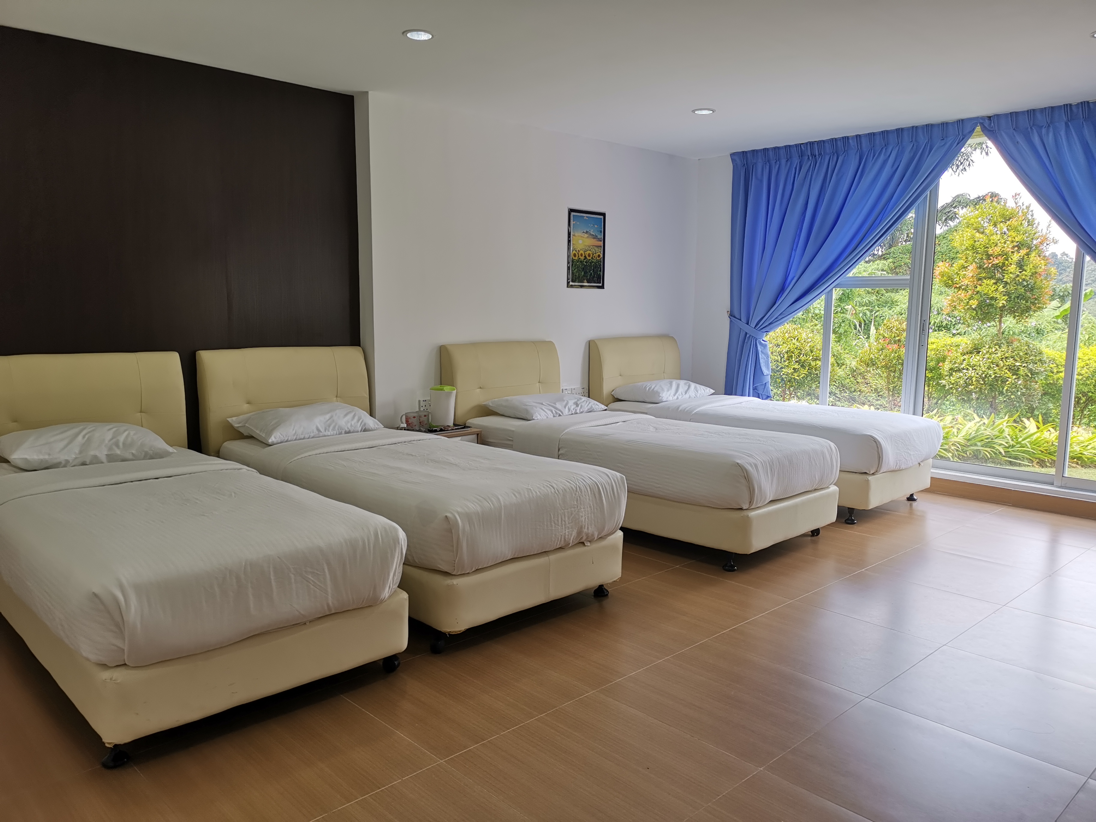 Dear Dino Villa Cameron Highlands Villas For Rent In Brinchang Pahang Malaysia