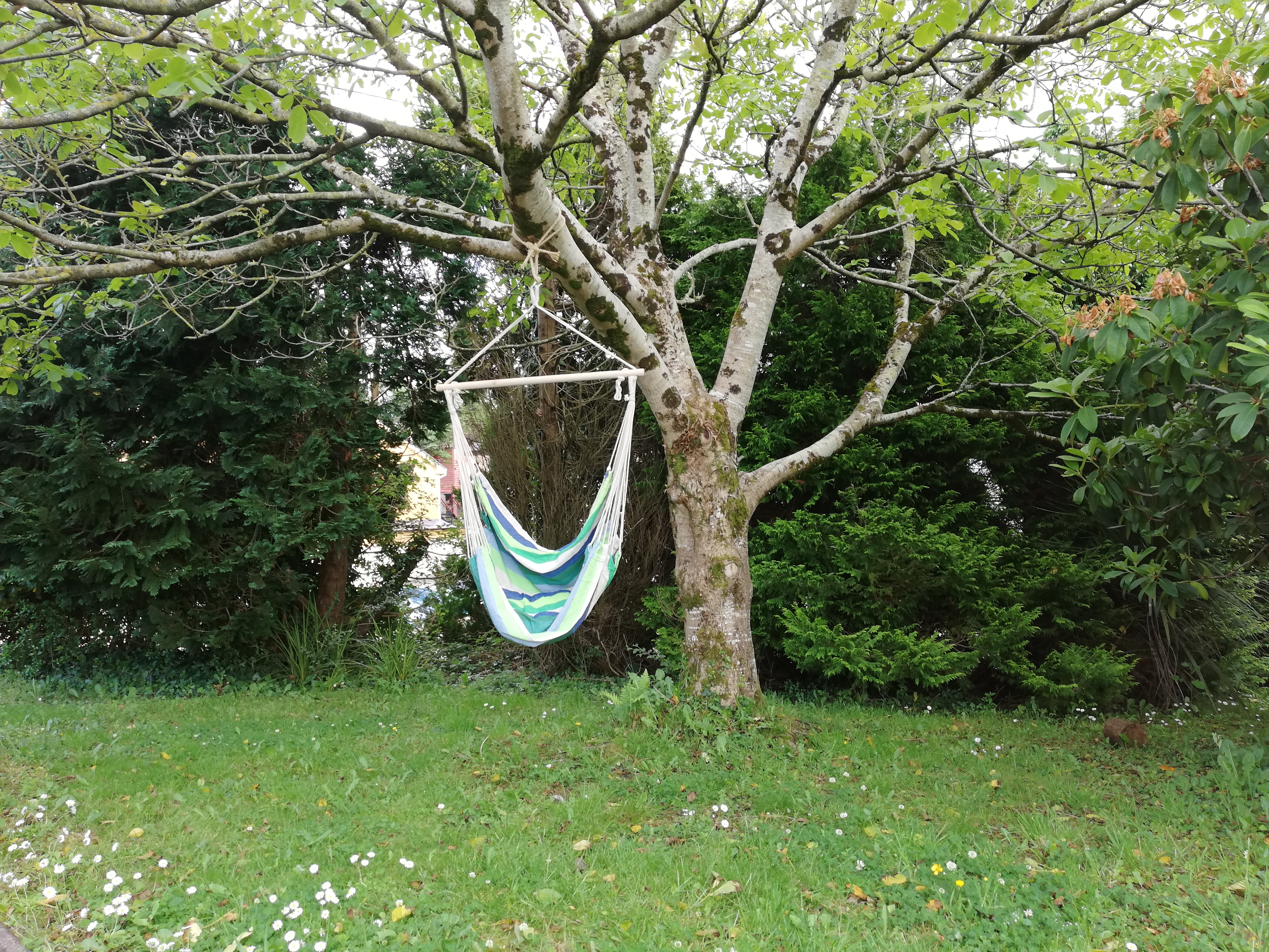 Flemings White Bridge - Caravan & Camping Park: Bast site in killarney - See 206 traveller Good pitches, and hookup, but most importantly spotlessly clean. Bast site in killarney - Review of Flemings White - TripAdvisor