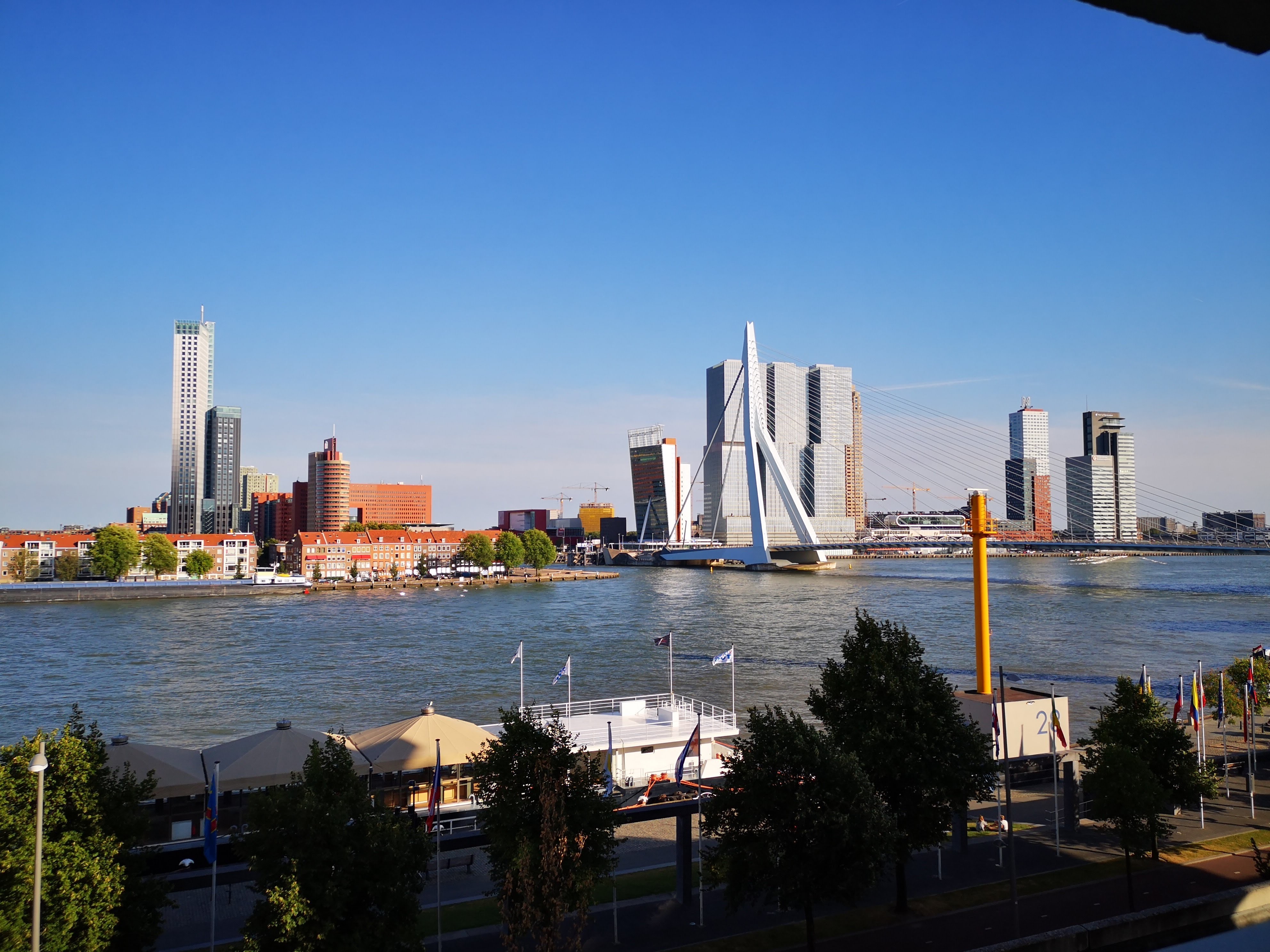 Nice, comfortable apartment with the best view! — Rotterdam stay