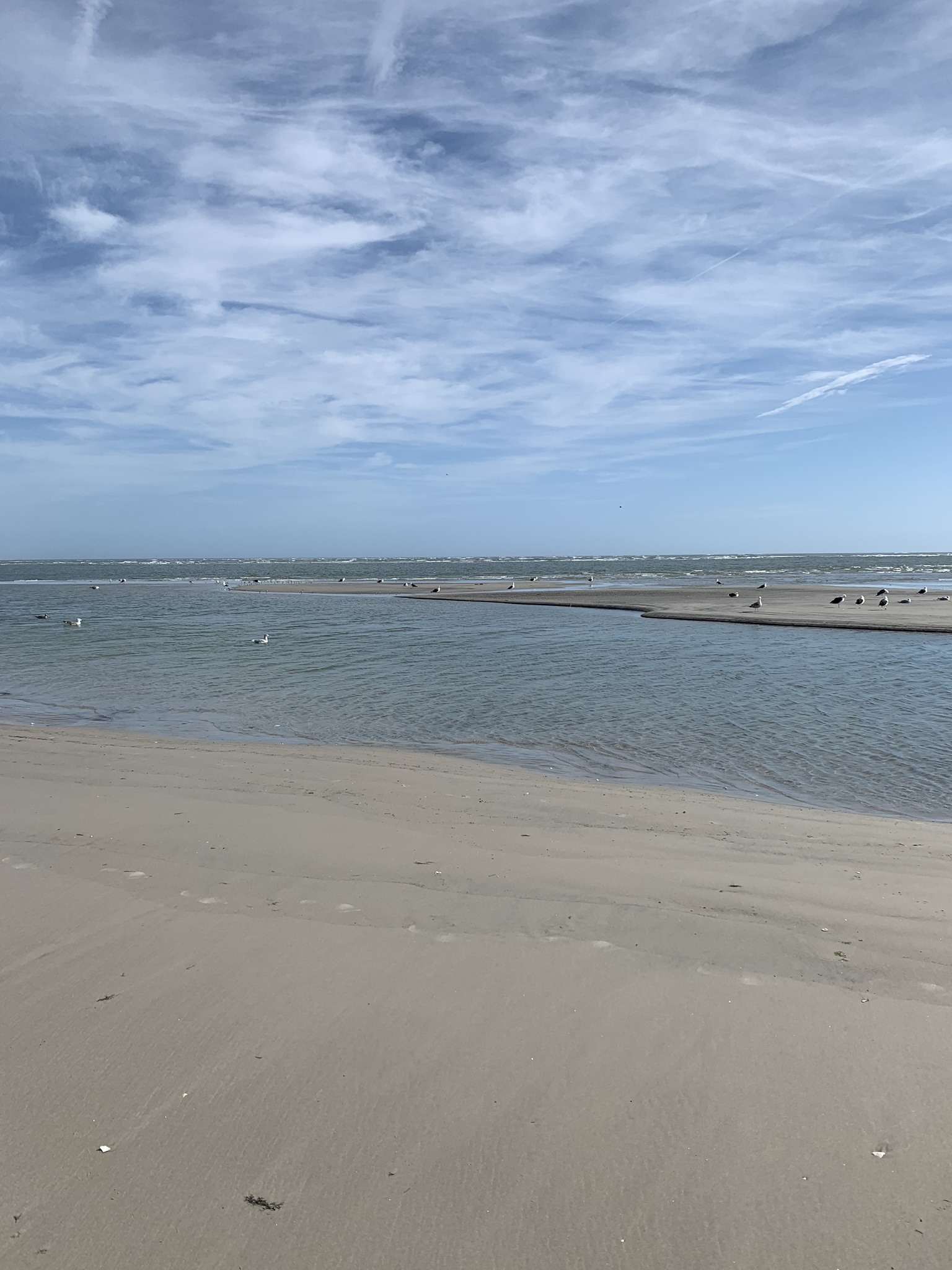 Moore’s Beach (room with private bath) Guest suites for Rent in North