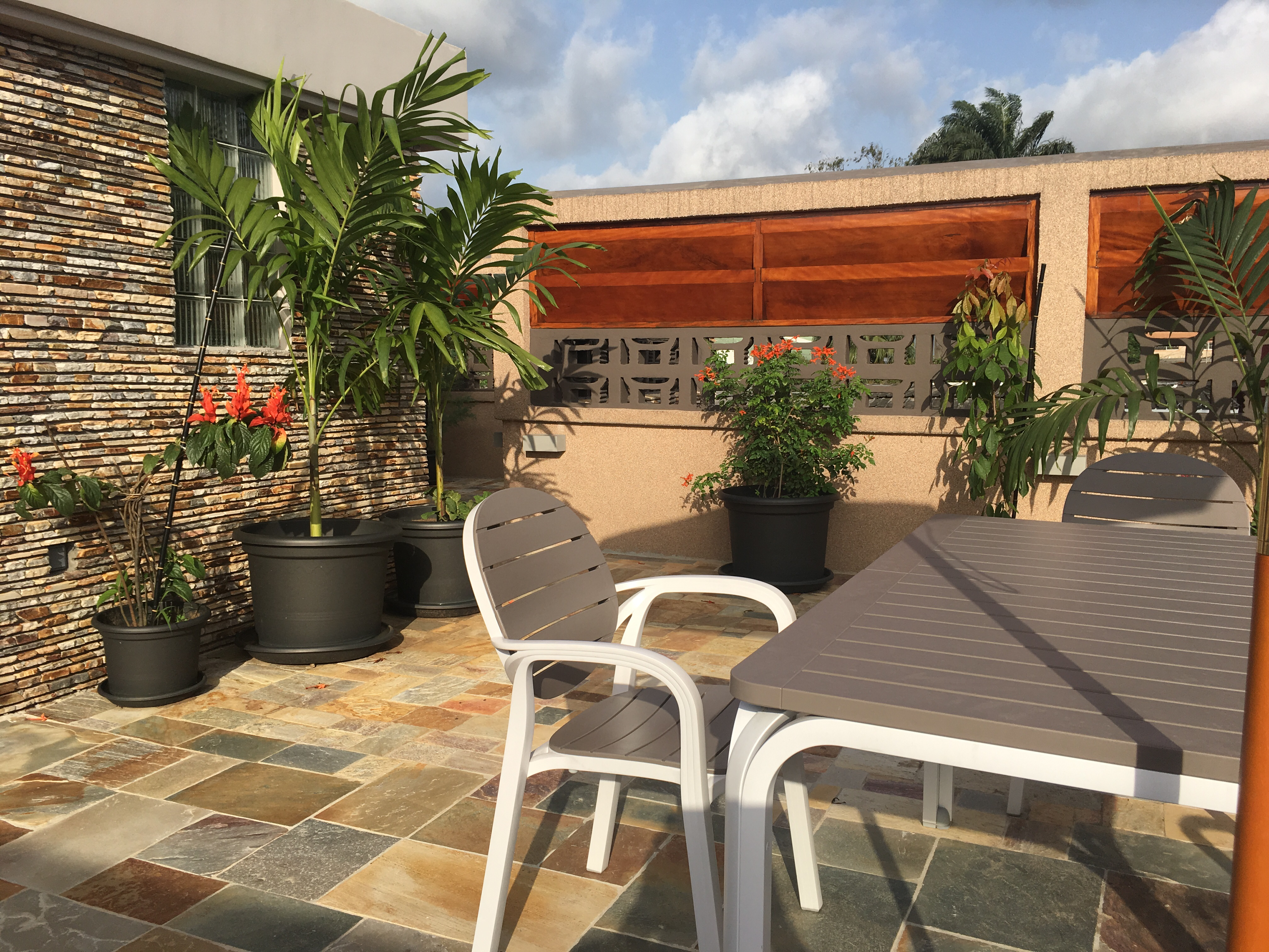 Un - Garden on the roof - Vieux Cocody