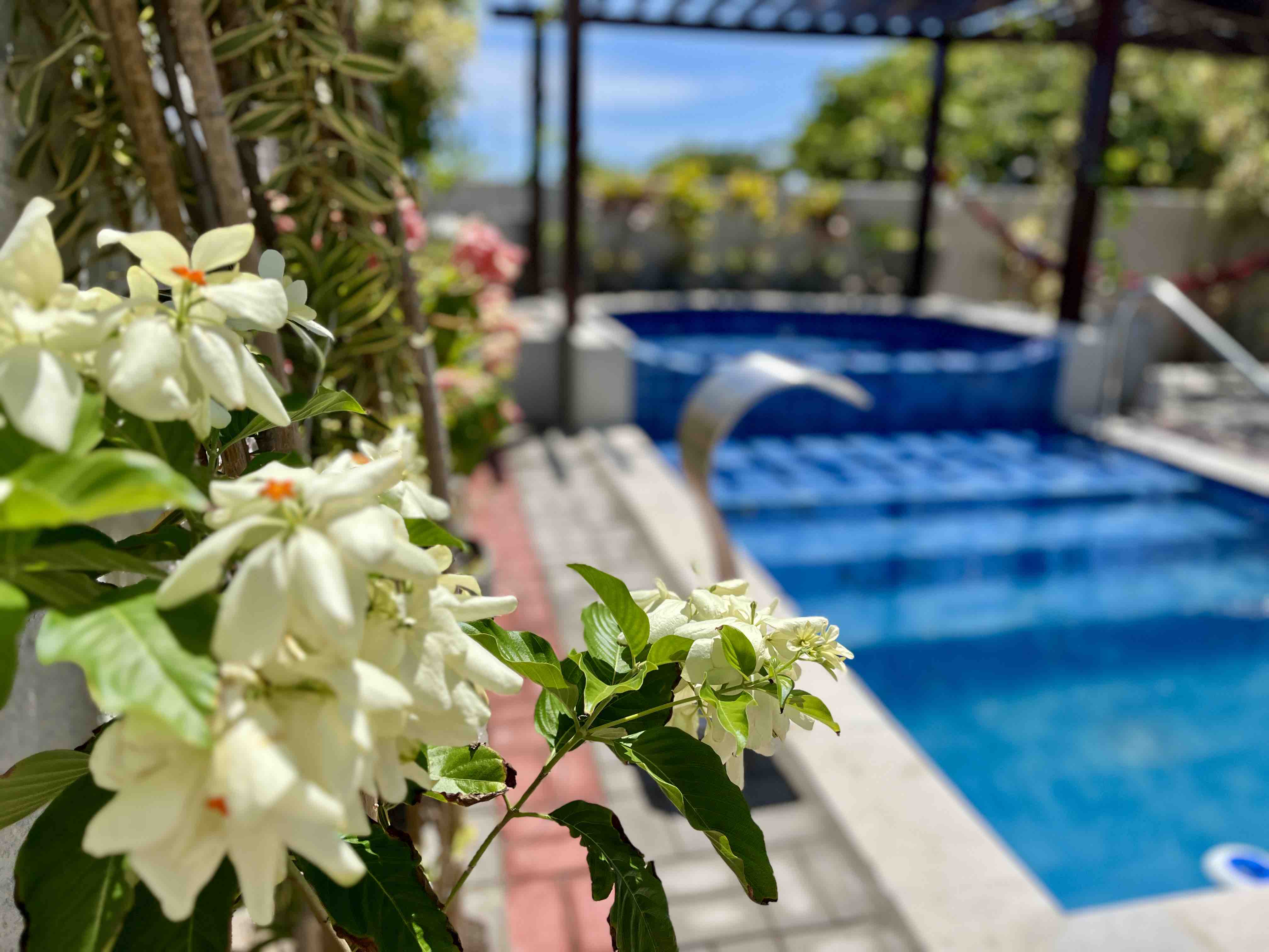 House 4 km from Canoa Quebrada-CE