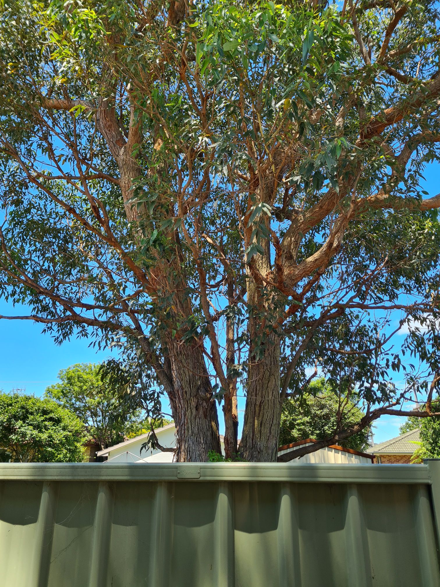 Sea Lane Cottage near the BEACH (new)
