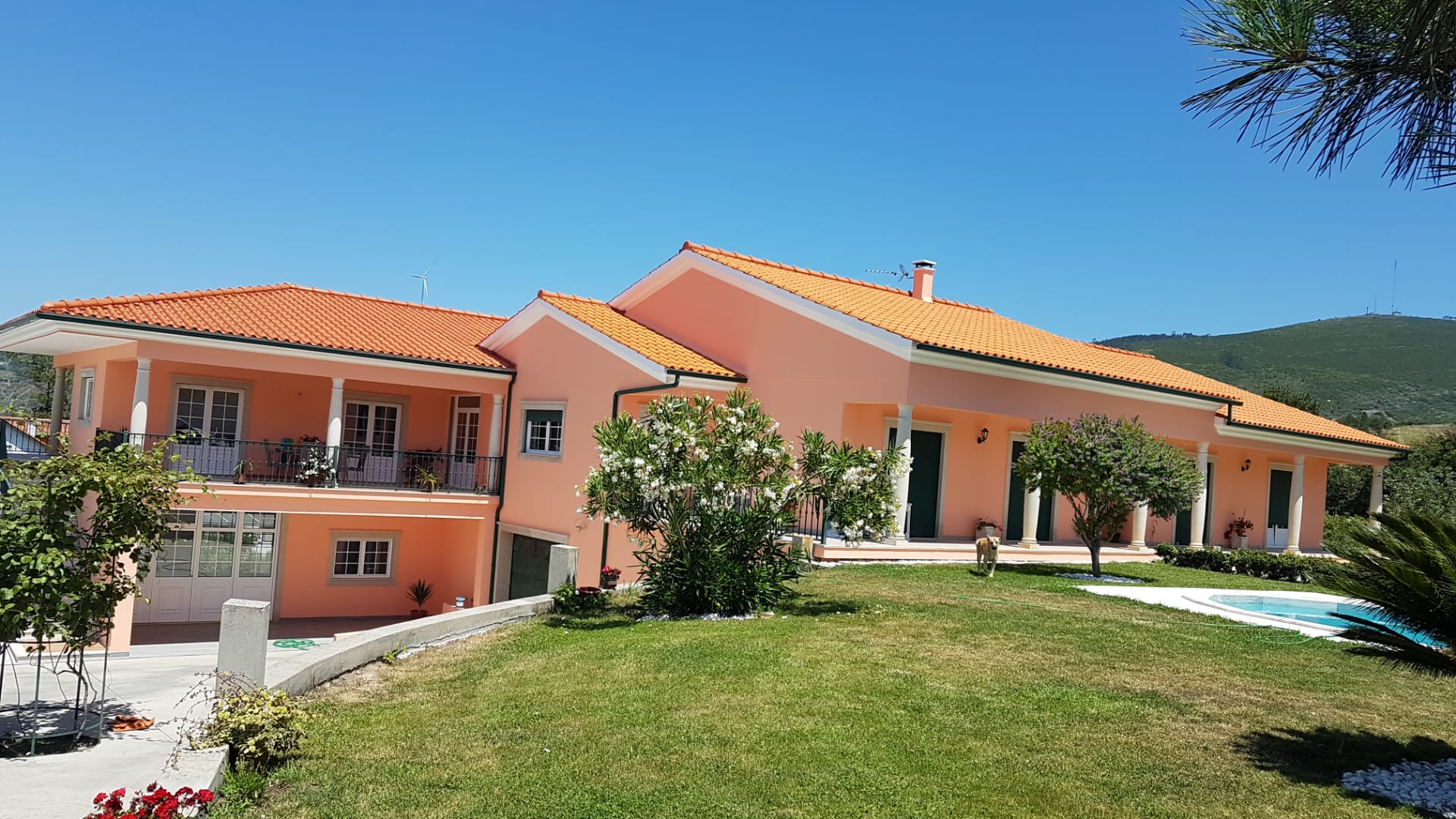 Magnificent Townhouse