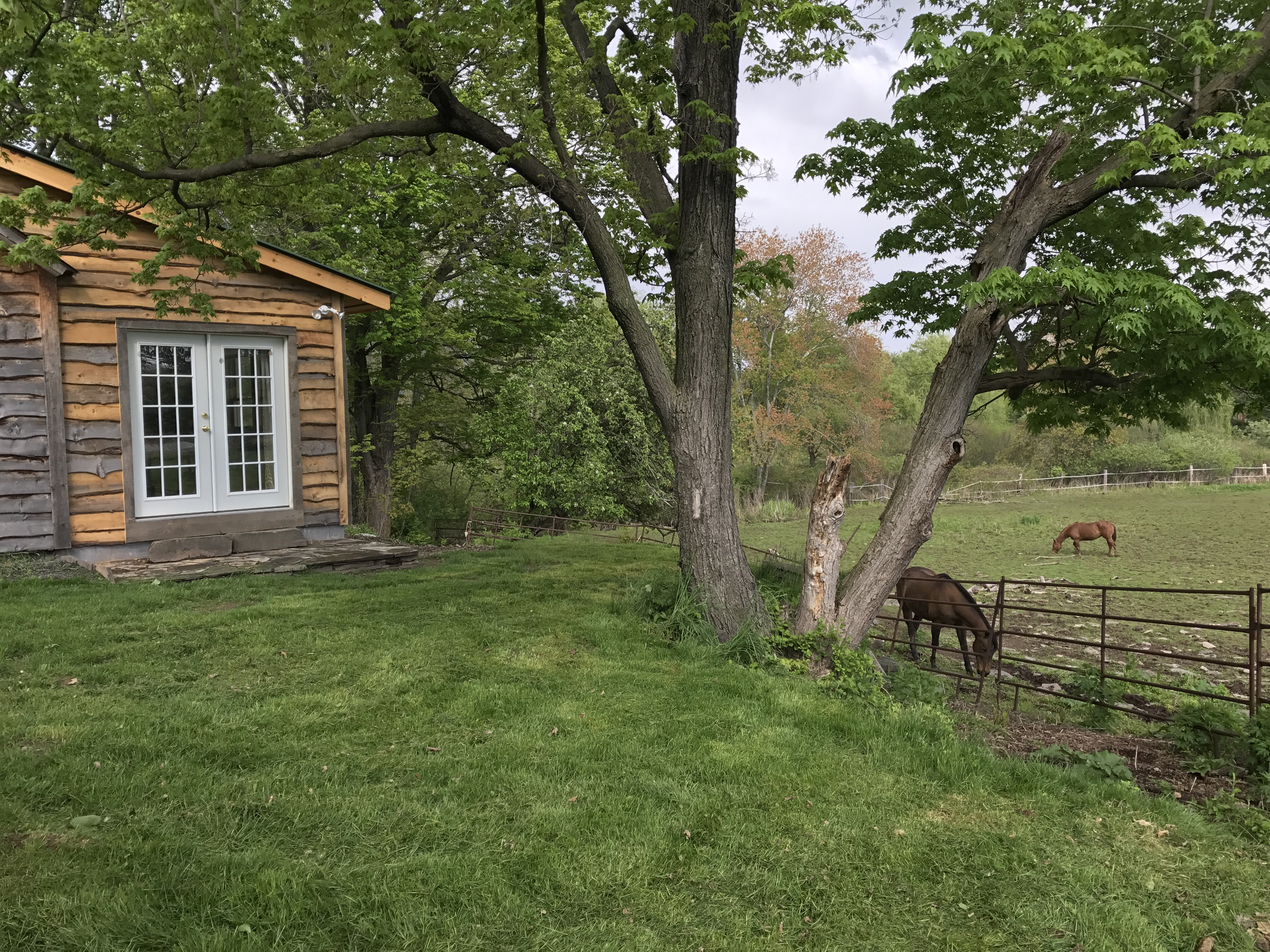 Cozy Cabin on the Farm