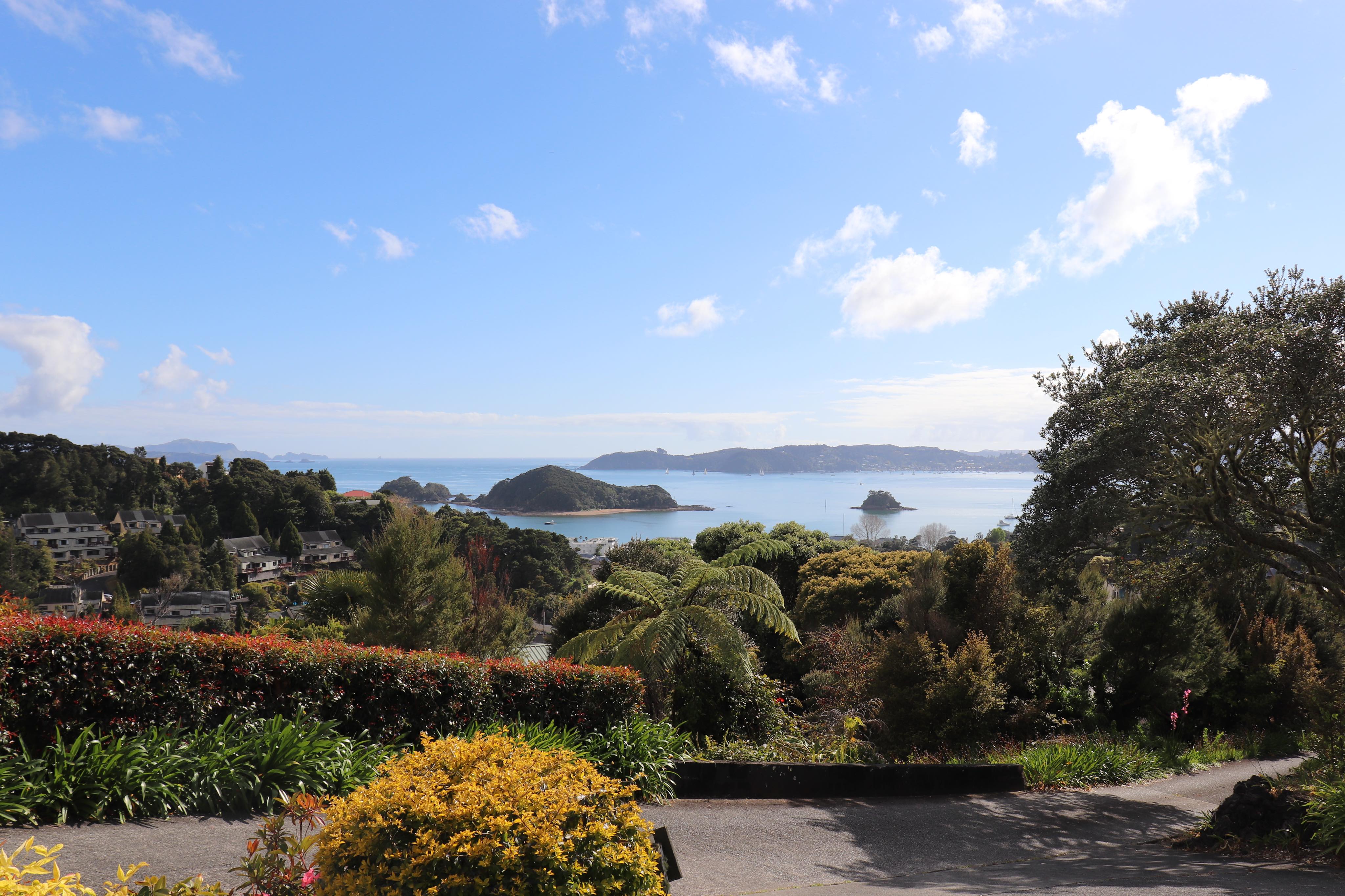 A Bay's Eye View