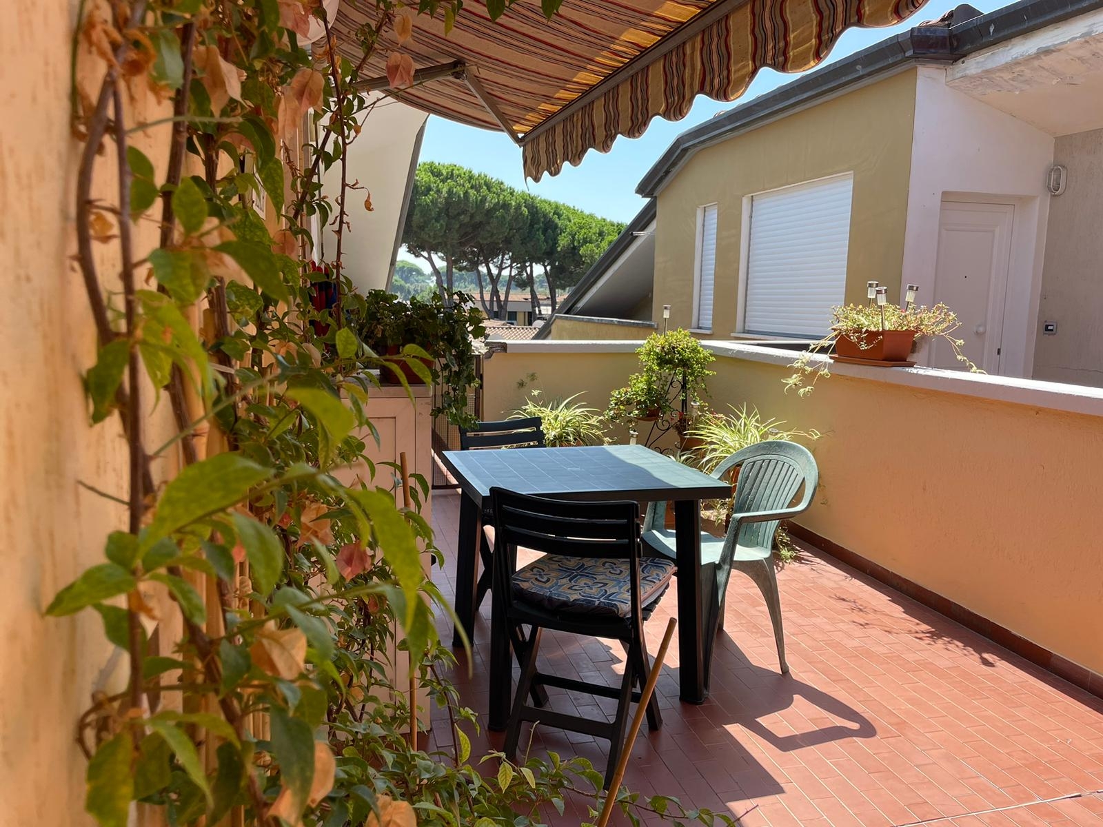 Lovely one room mini apartment with big terrace .