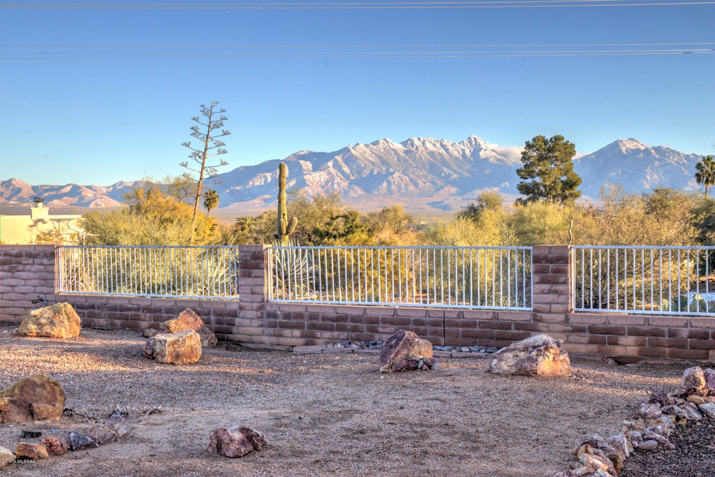 Santa Rita Mountain View ~ Birds, Books, Beauty!