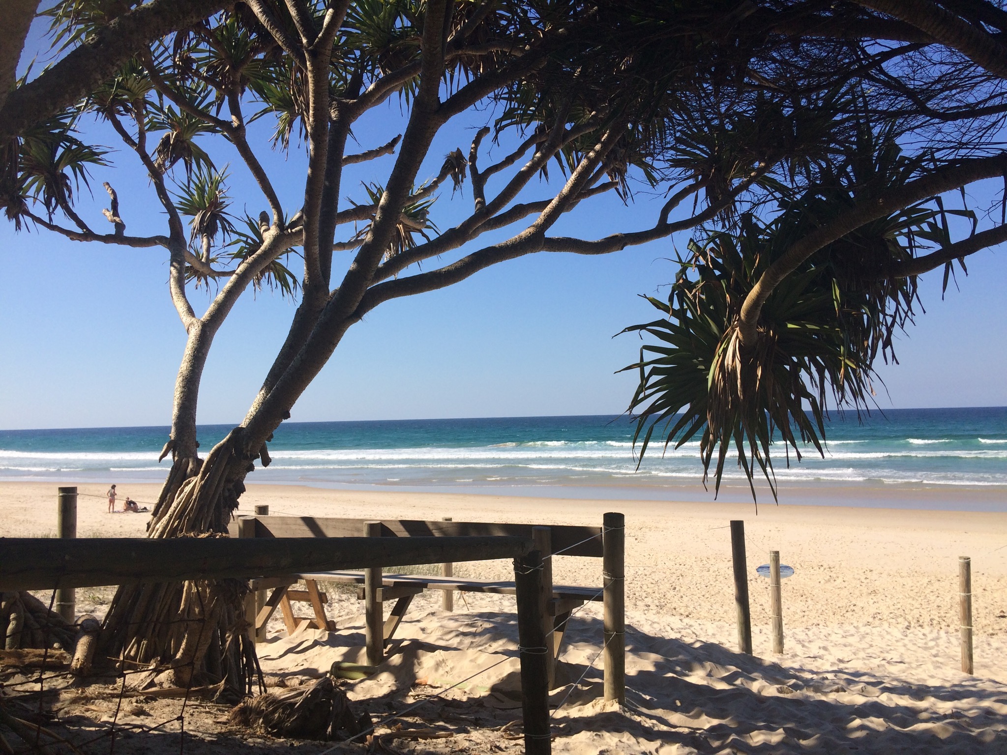 SlfCont'd Creek/Beach Studio near Byron Bay in BYRON SHIRE COUNCIL, Northern Rivers