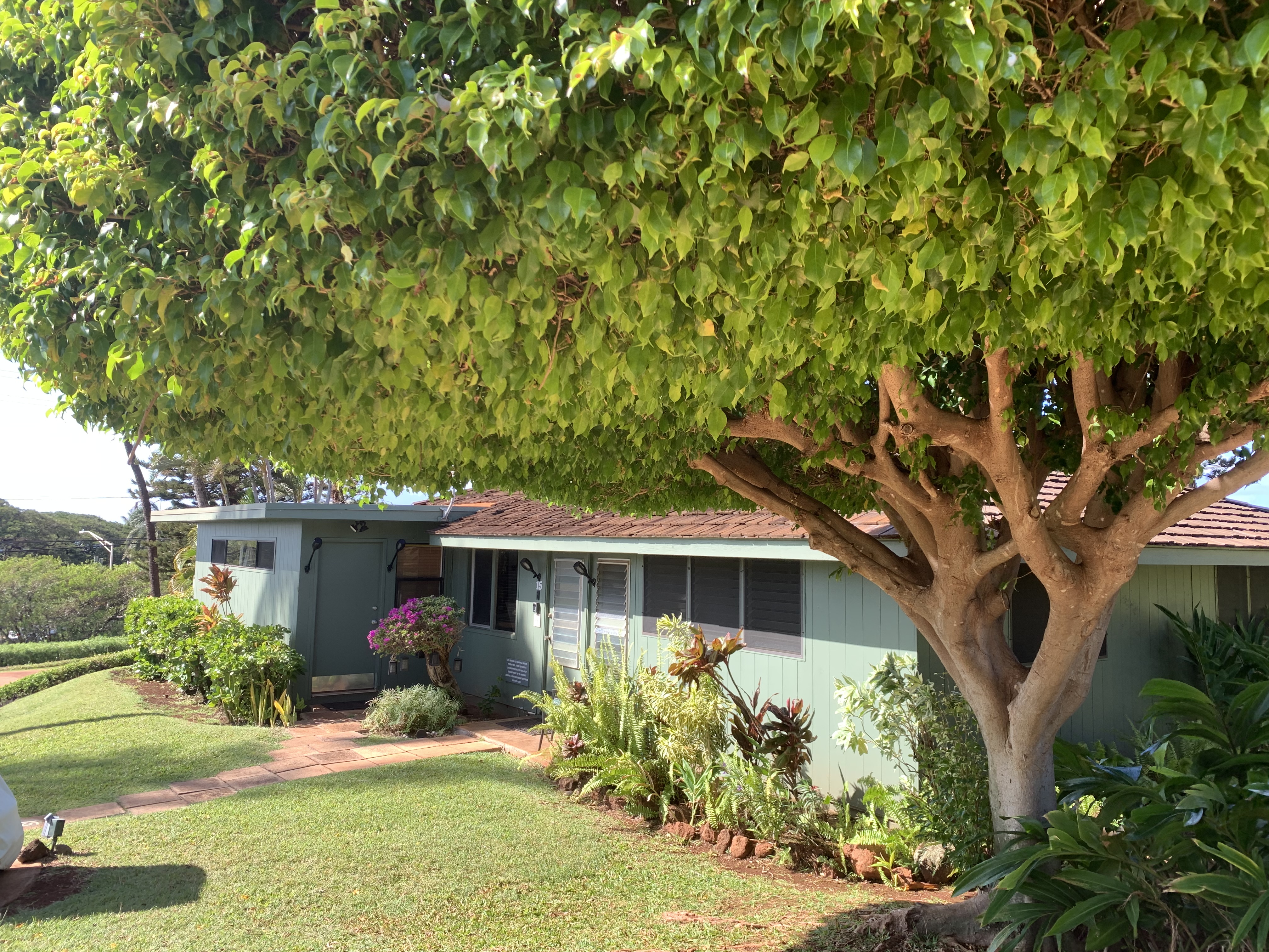 Ka'anapali's ~ International Colony Club 15 in Lahaina, Hawaii