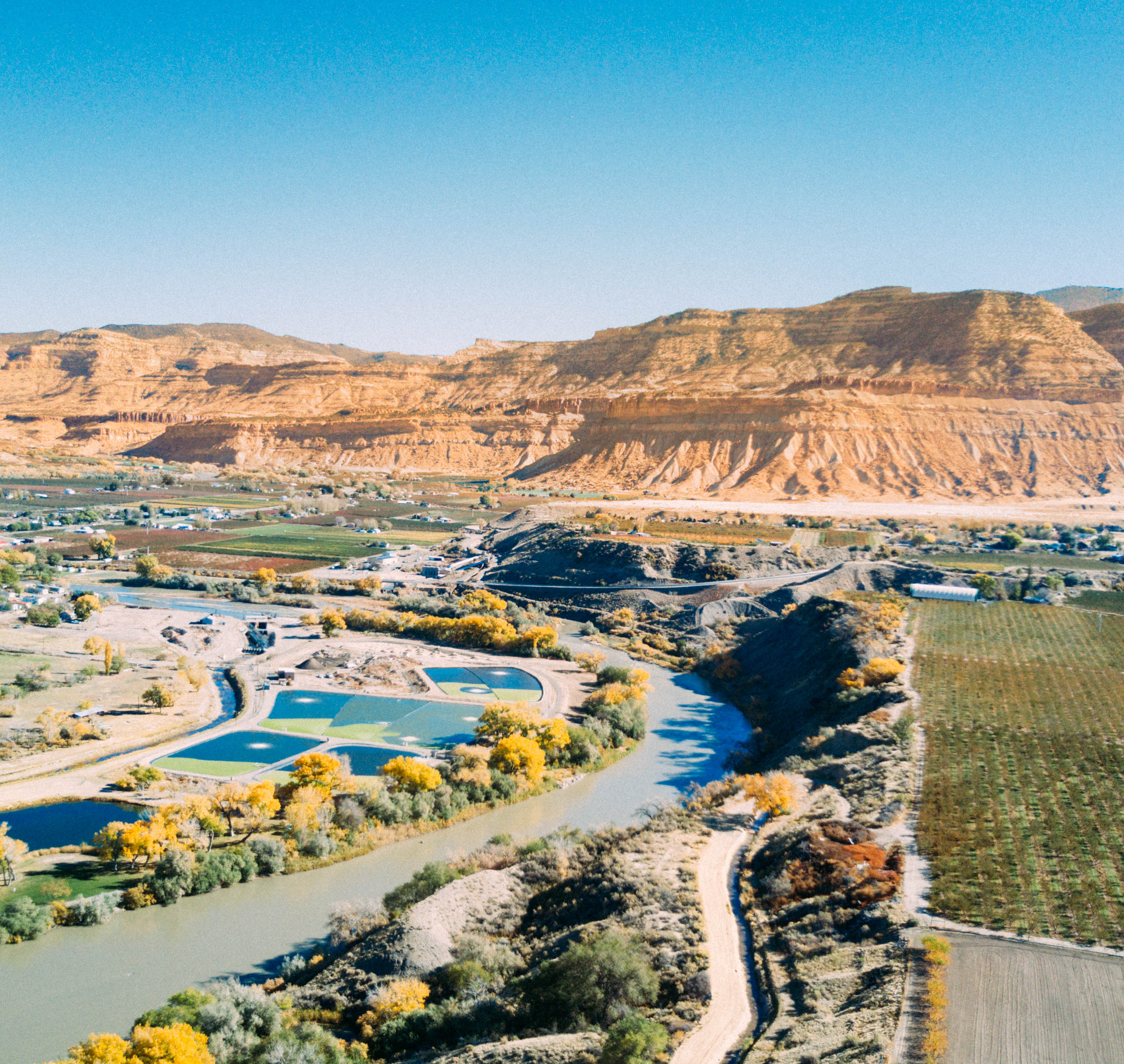 animal sanctuary guest house Farm stays for Rent in Clifton, Colorado