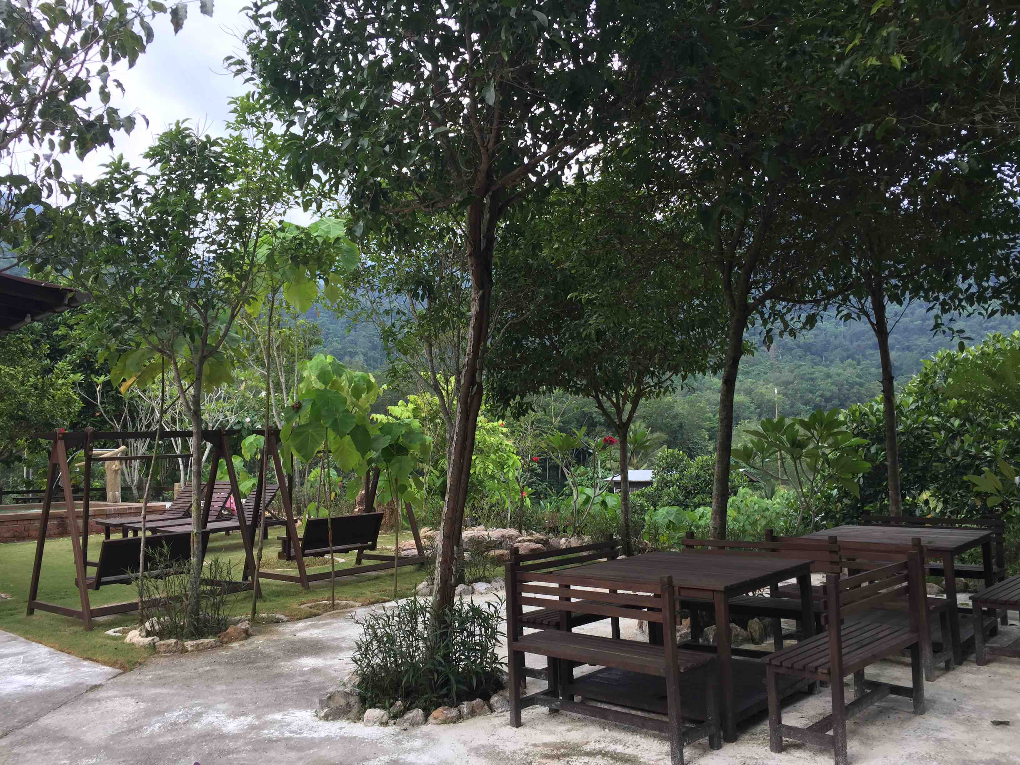 Broga bliss eco garden review