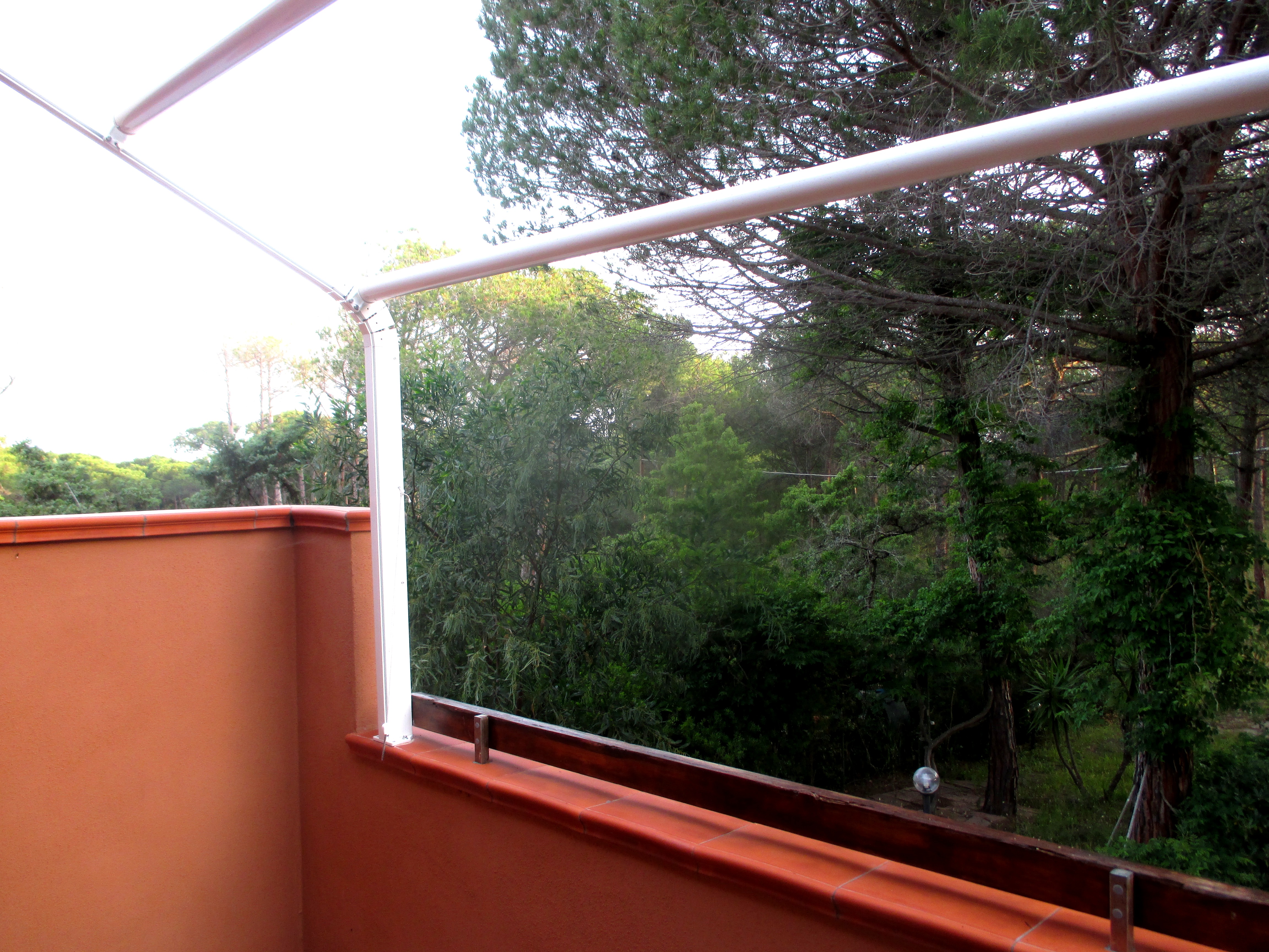 Cozy apartment between the sea, dunes and pine forest