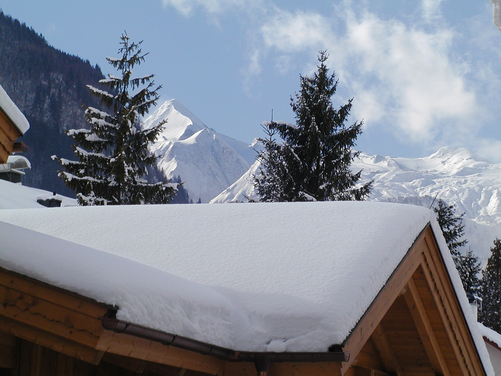 Chalet Alma (5 person) - free Tauern Spa entry