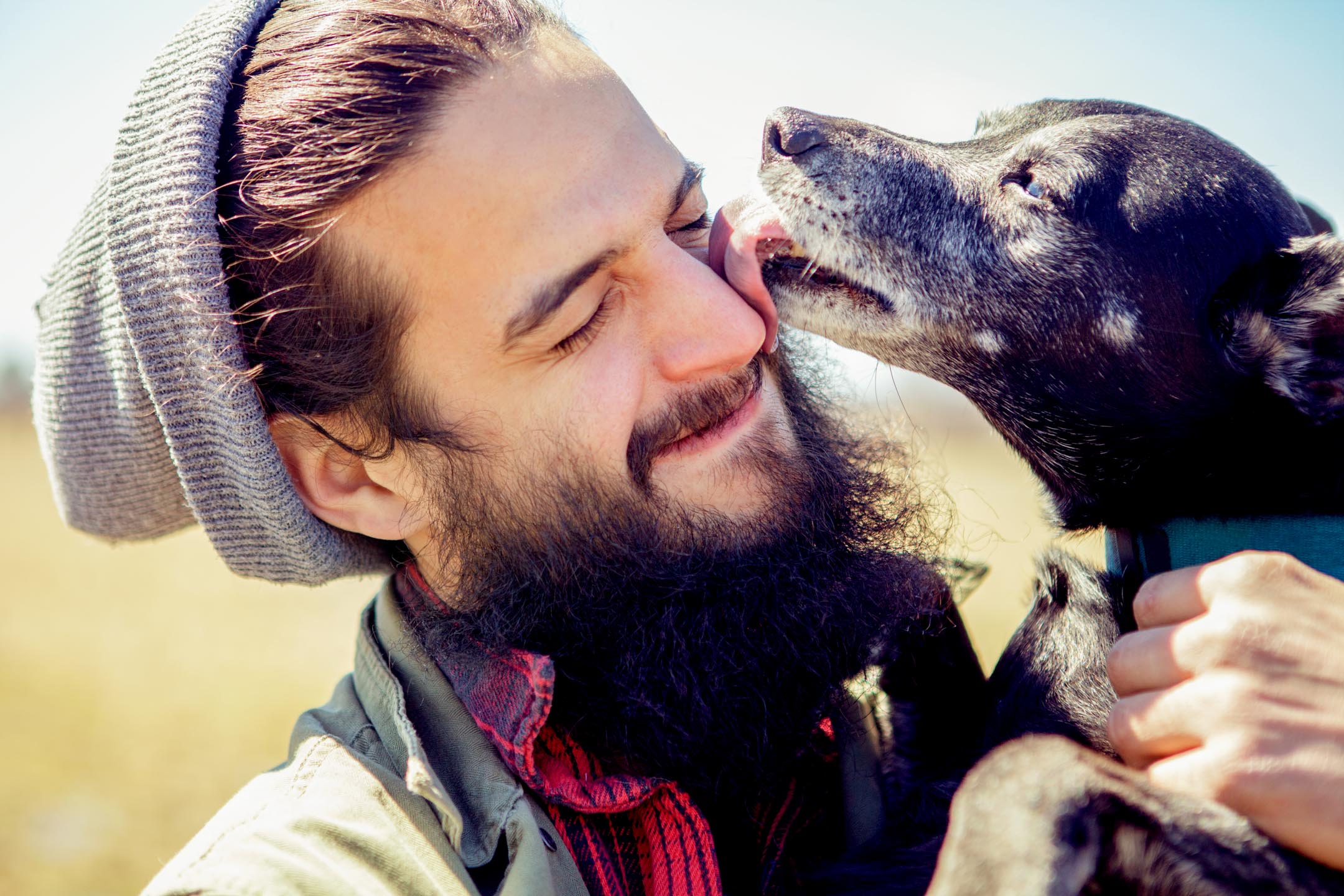 Dog lick man. Big Dog licking men face.