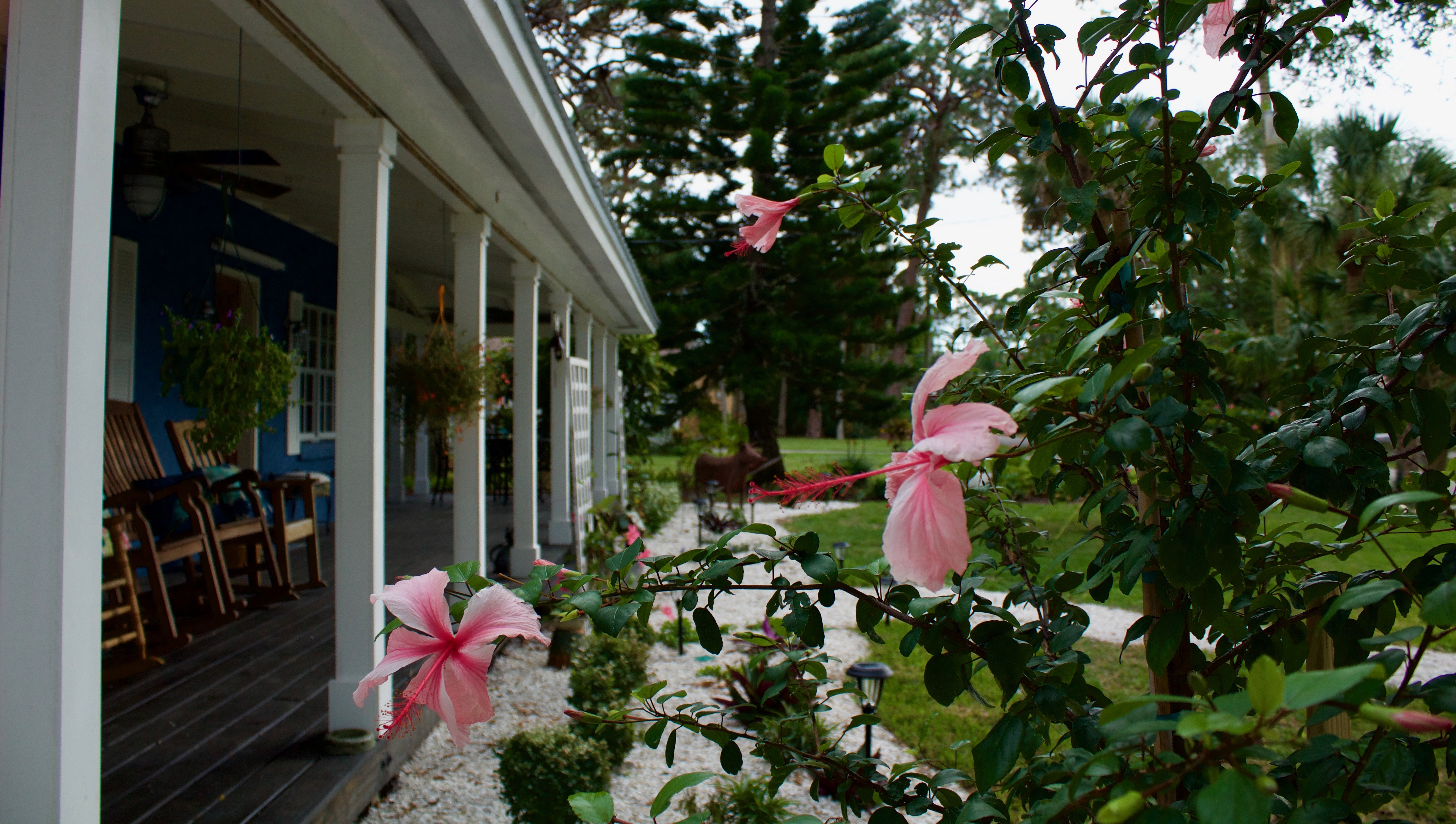 Blue Cottage Suite- Peaceful Old Englewood Charm!