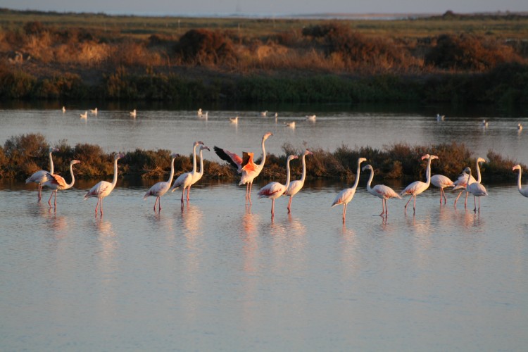 THE MARKET SQUARE HOUSE-See beach in city heart - Apartments for Rent in Faro, Faro, Portugal