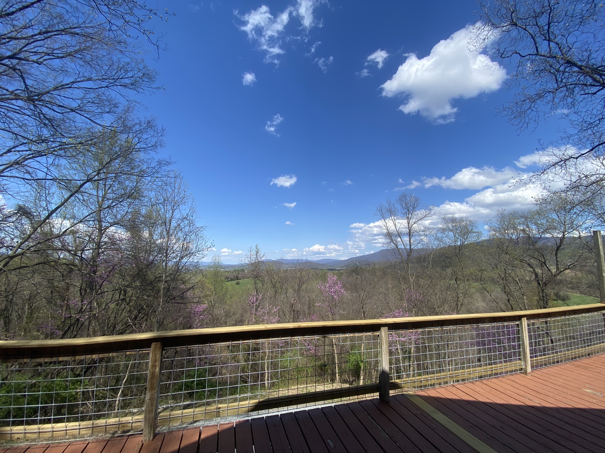 Pine Grove Private Mountaintop Cabin Cabins for Rent in Stanley