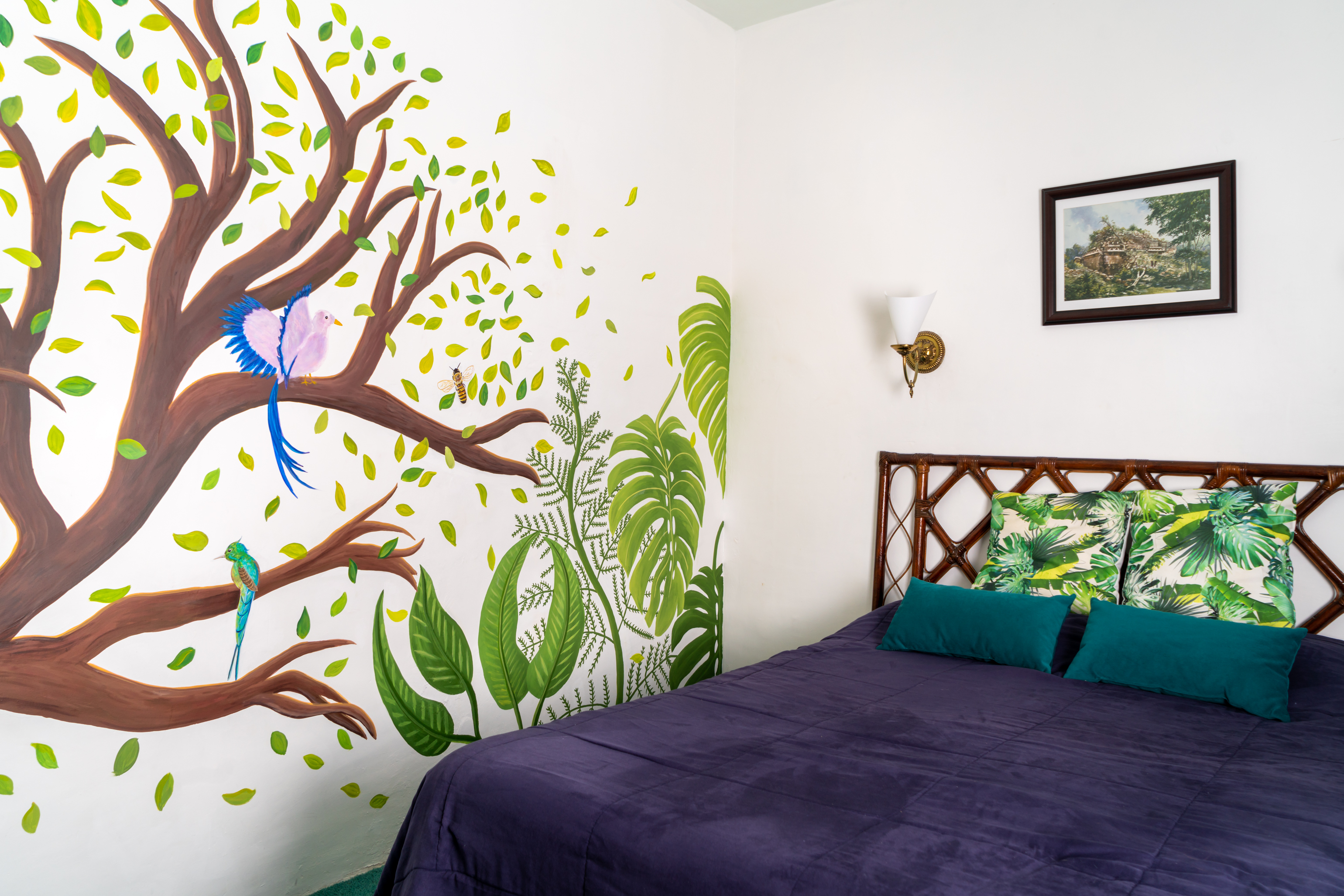 Private Room; Share Services. Near UNAM & Coyoacan in Coyoacán, Mexico City