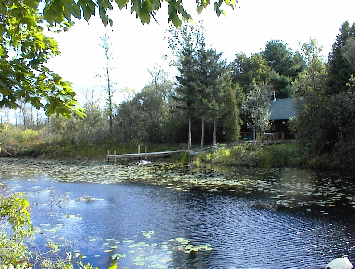 Old Mill Cabin