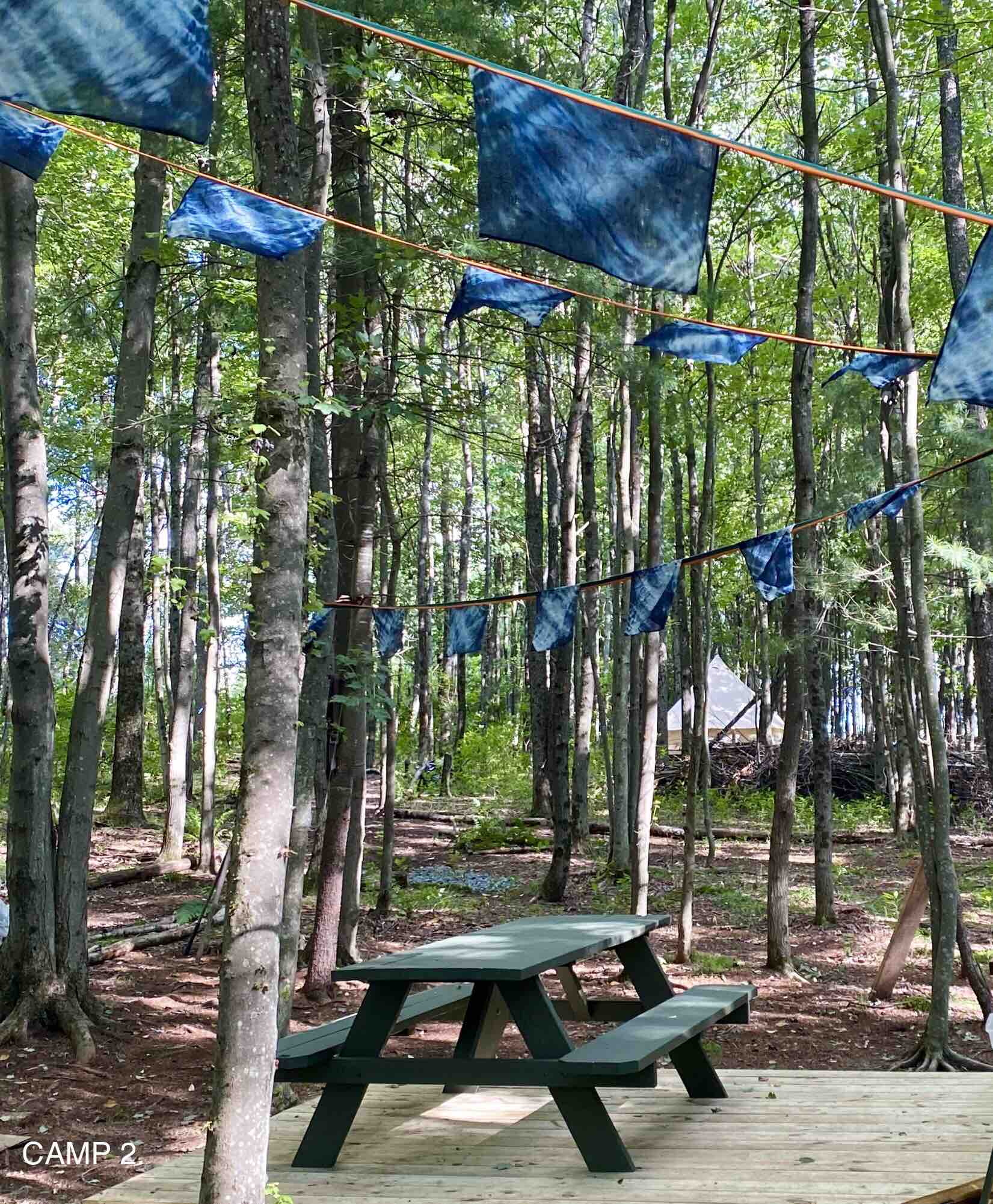 Twig and Hatchet CAMP #3 BYOT