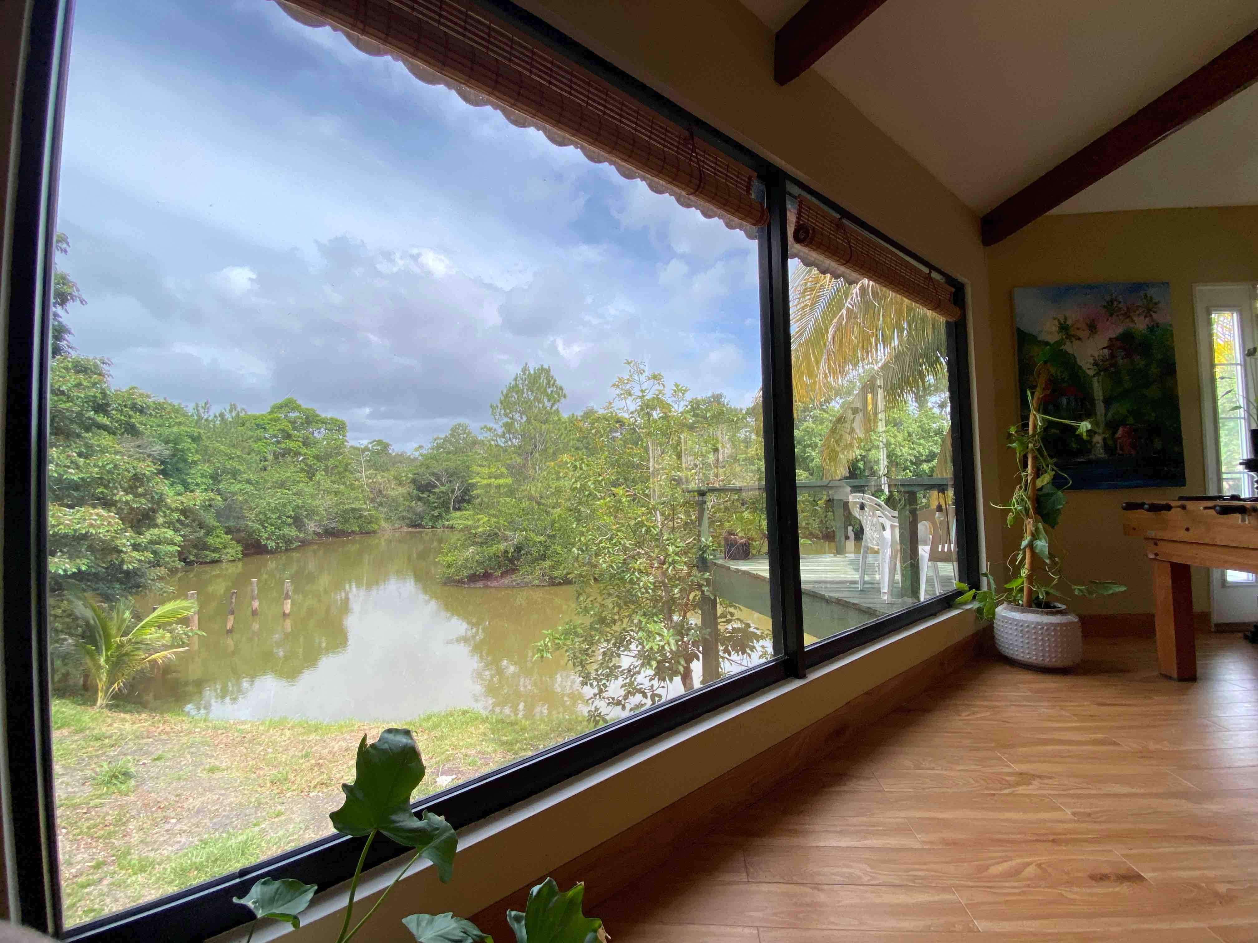 Pedestal Monkey Reserve/ FREE SHUTTLE ! Houses for Rent in Belize City, Belize District, Belize