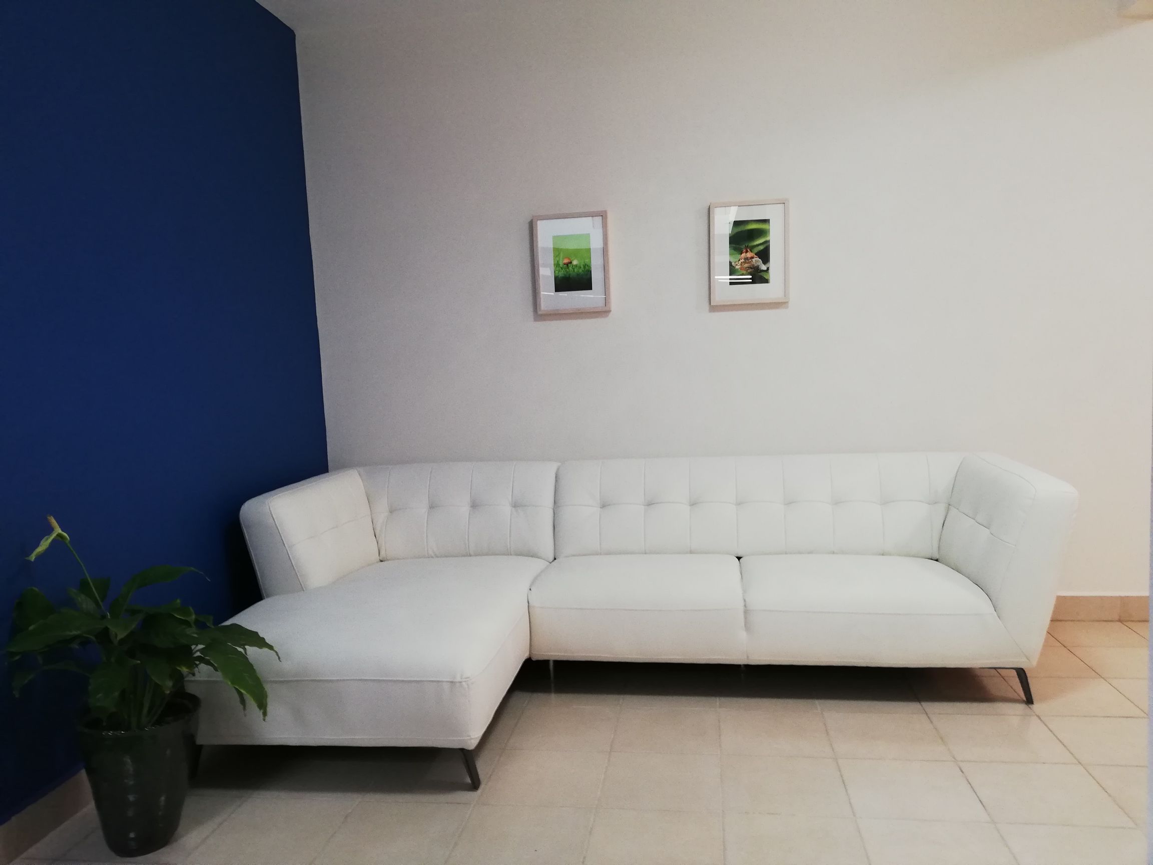 Cozy and confortable, in prime location.