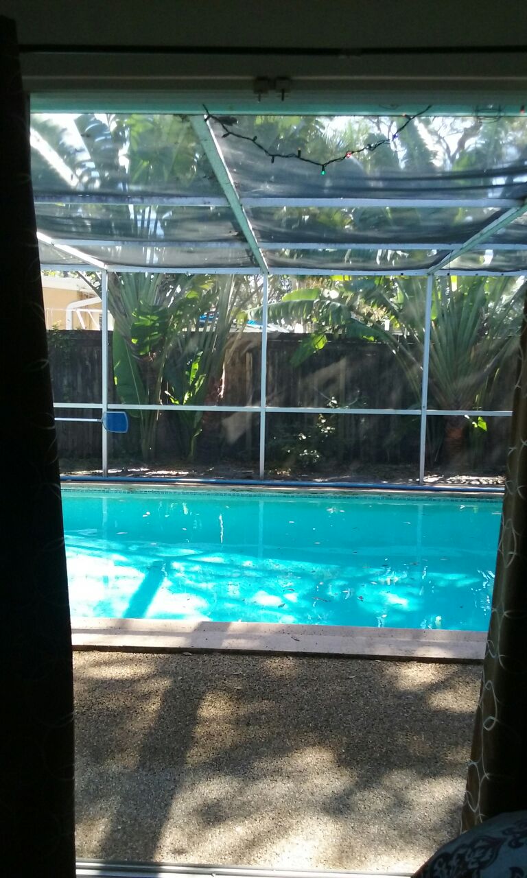 Zen Pool view, outdoor lounge, garden, and parking in Fort Lauderdale, Broward County