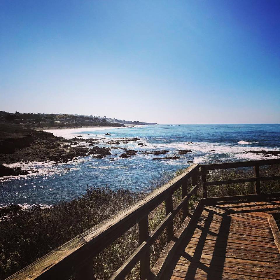 Windrush House Houses for Rent in Cambria, California, United States